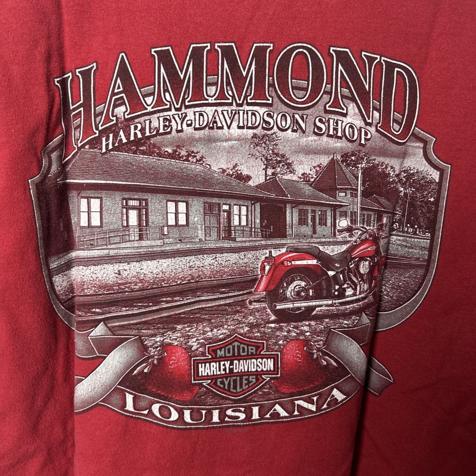 Harley Davidson Harley Davidson 2005 Hammond Louisiana T-Shirt Size Large Size US L / EU 52-54 / 3 - 5 Thumbnail