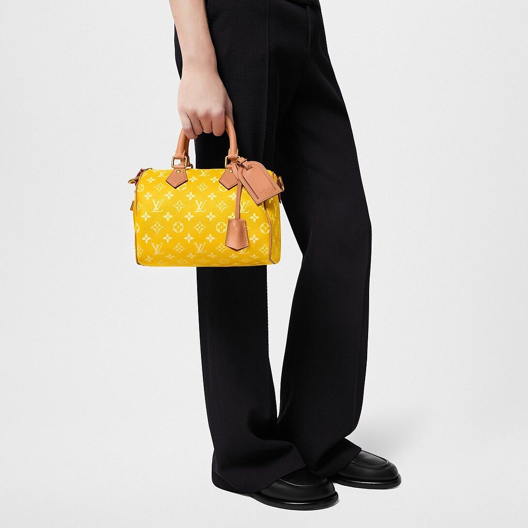 Louis Vuitton Speedy P9 Bandoulière 25 Bag Size ONE SIZE - 2 Thumbnail