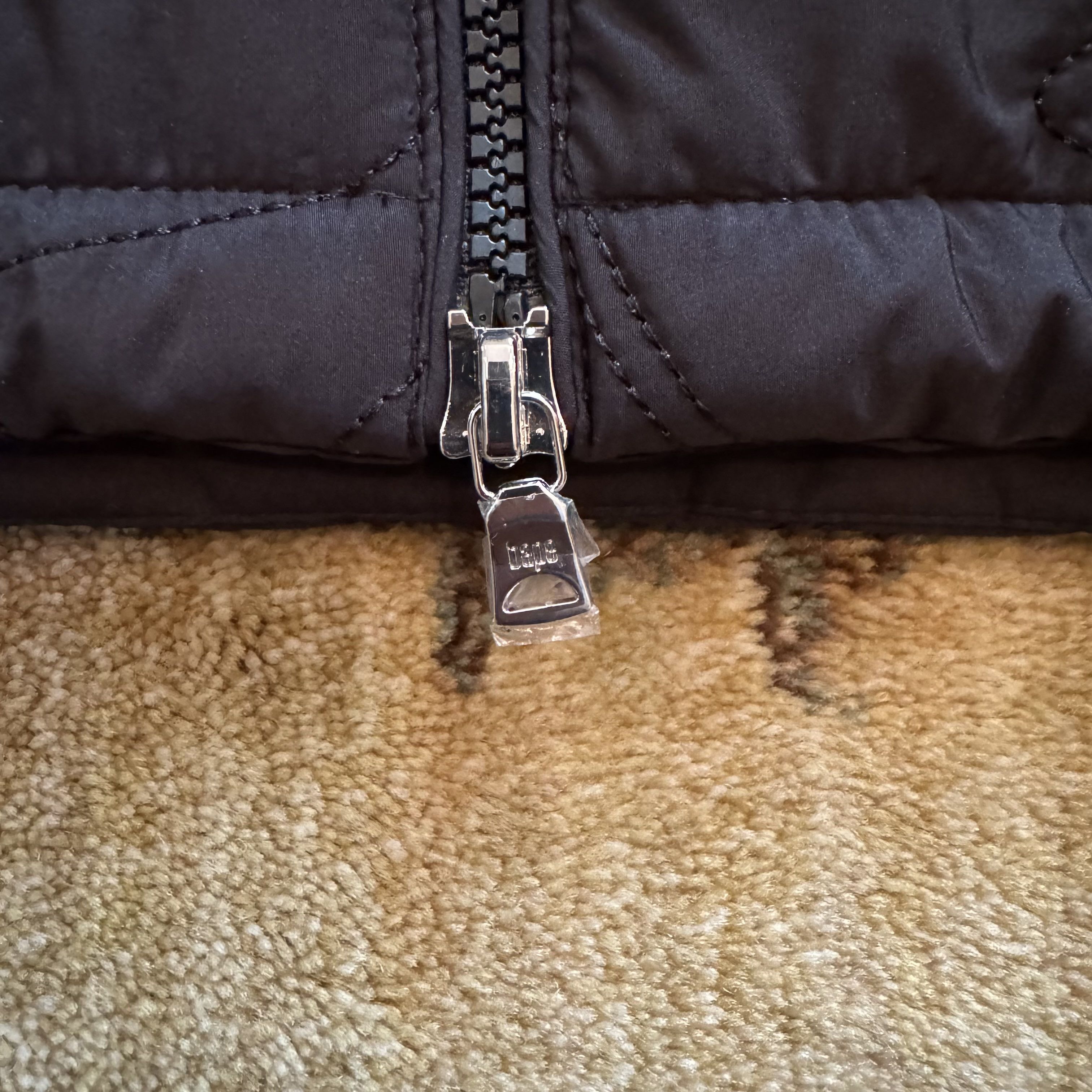 Shark Jacket