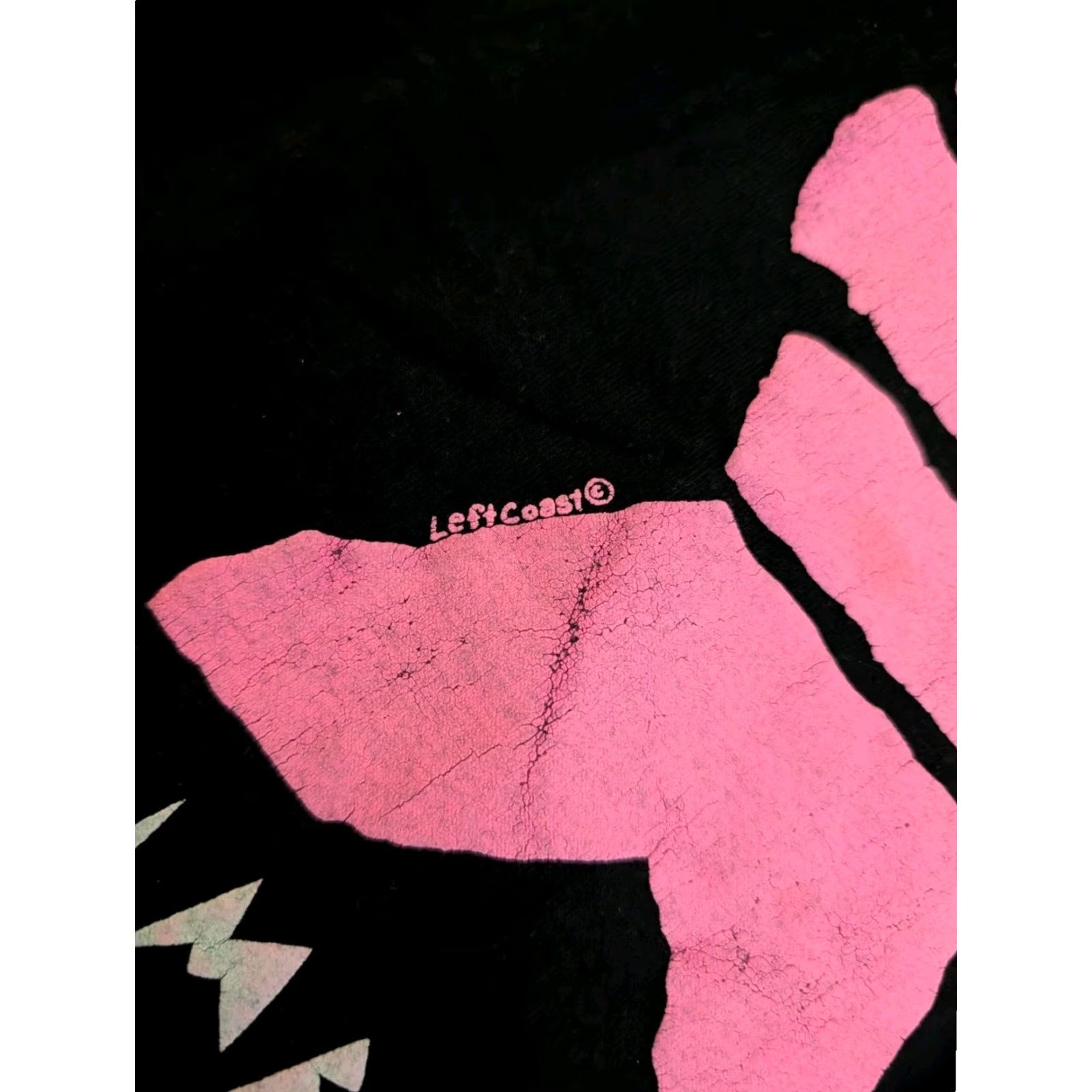 Fruit Of The Loom VINTAGE Fruit of the Loom Tee Shirt Black 80s Palm Beach Puff Print Fish T-Shirt L US Unisex Adults Men Women Size US L / EU 52-54 / 3 - 5 Thumbnail