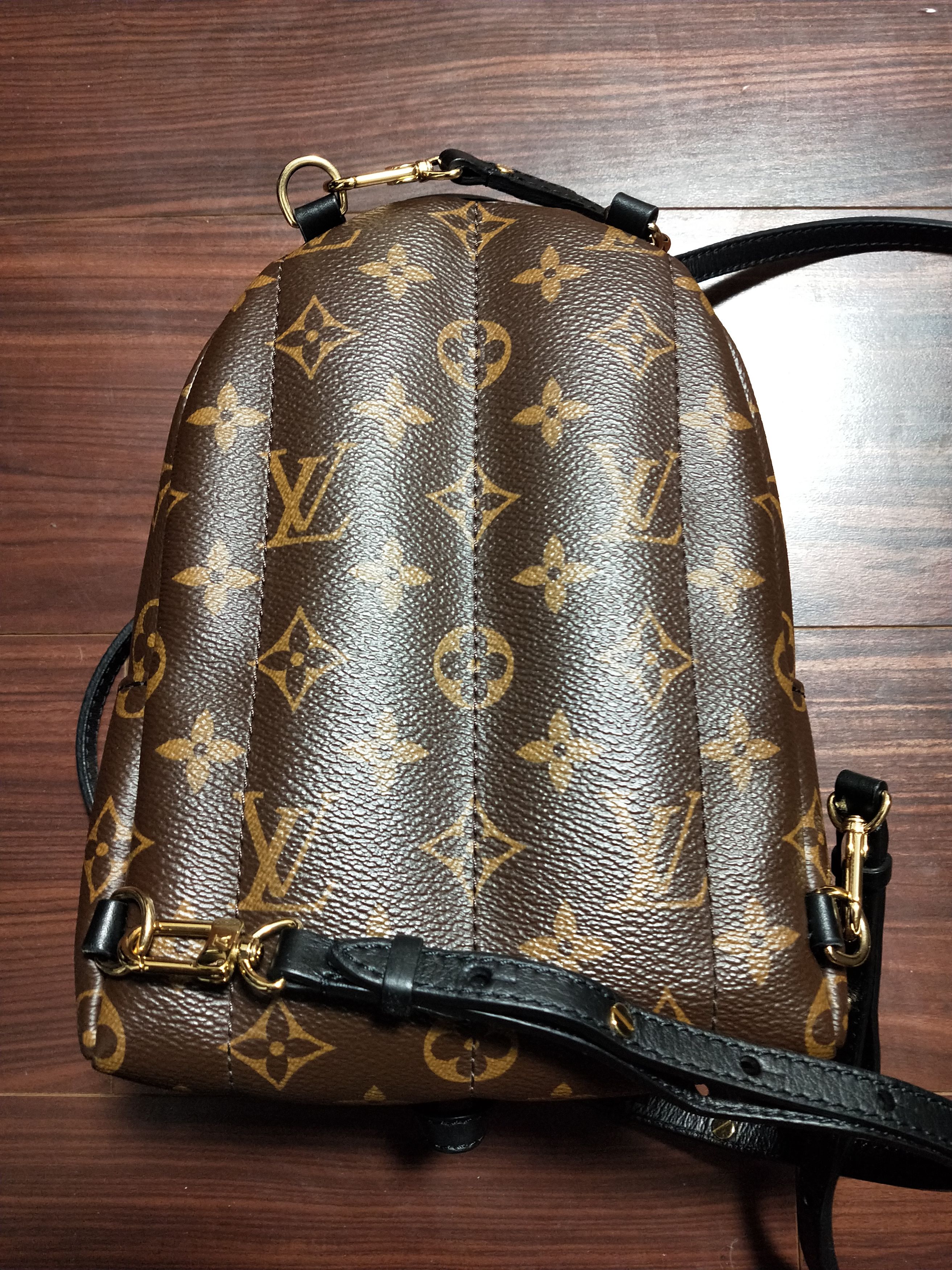 Louis Vuitton Palm Springs Monogram Mini Backpack Size ONE SIZE - 2 Thumbnail