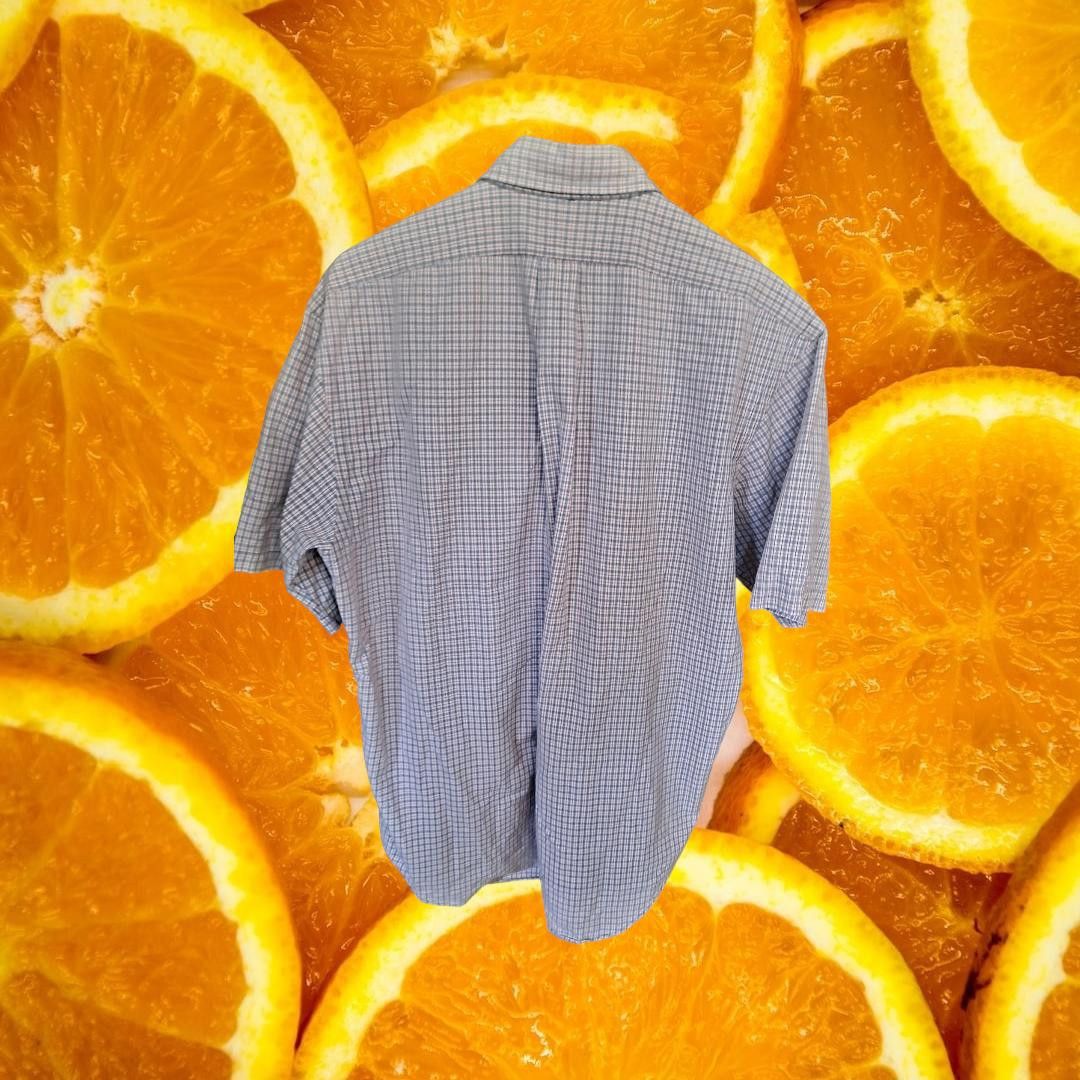 Ralph Lauren Ralph Lauren Blake Light Blue and Red Checked Shirt Size XL Size US XL / EU 56 / 4 - 4 Thumbnail