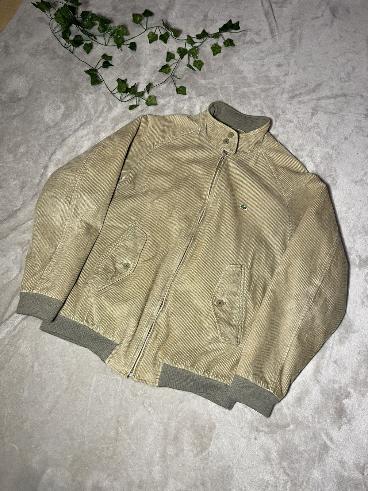 Lacoste Doudoune lacoste Size US M / EU 48-50 / 2 - 3 Thumbnail