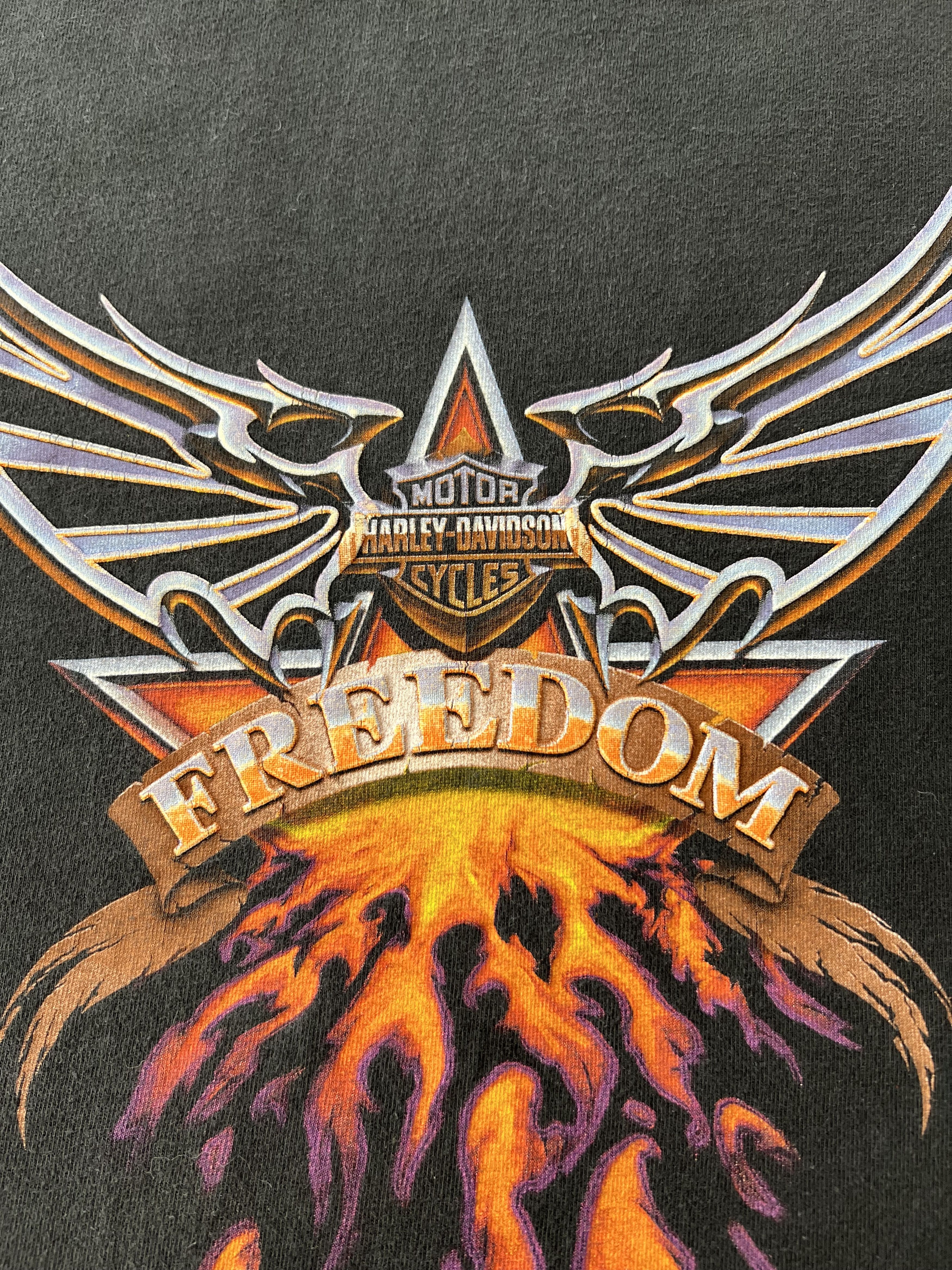 Harley Davidson Vintage 2000s Harley Davidson Fire Flame Freedom Alabama Tee Size US XL / EU 56 / 4 - 7 Thumbnail