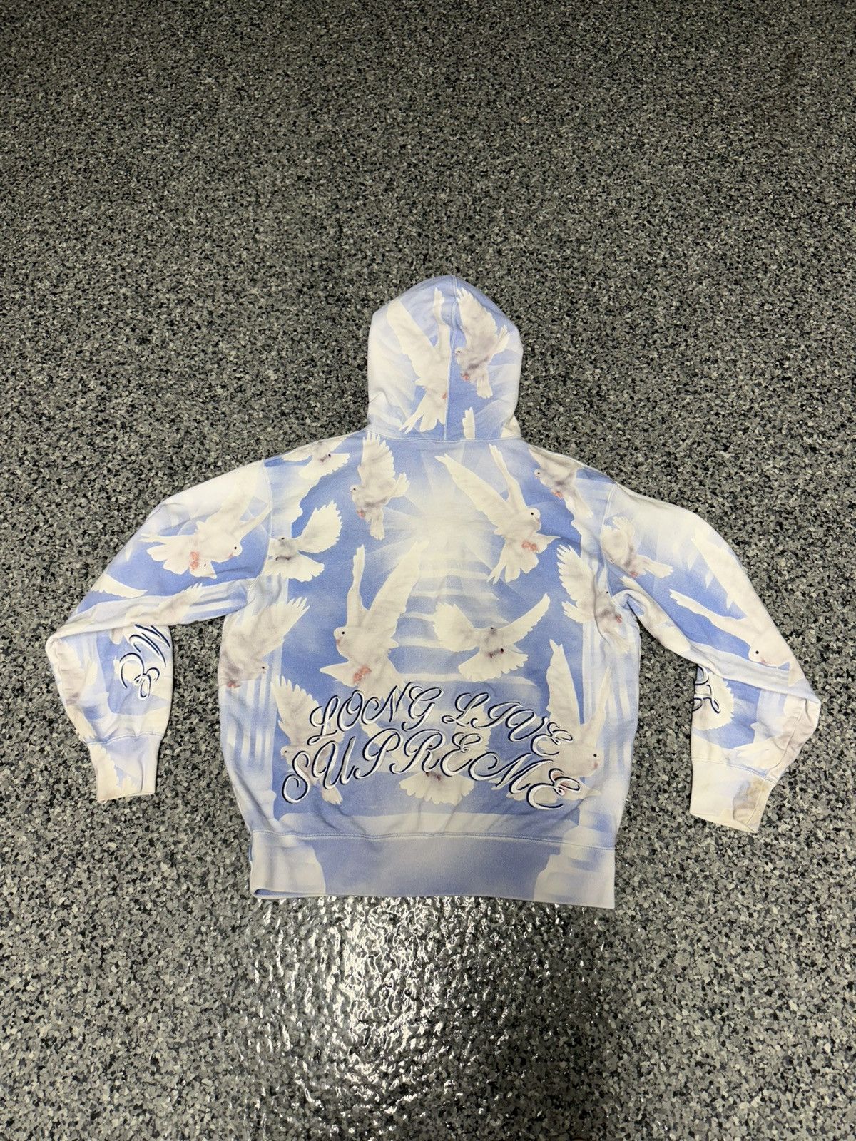 Supreme Supreme Doves Hooded Sweatshirt Blue Size US S / EU 44-46 / 1 - 2 Thumbnail