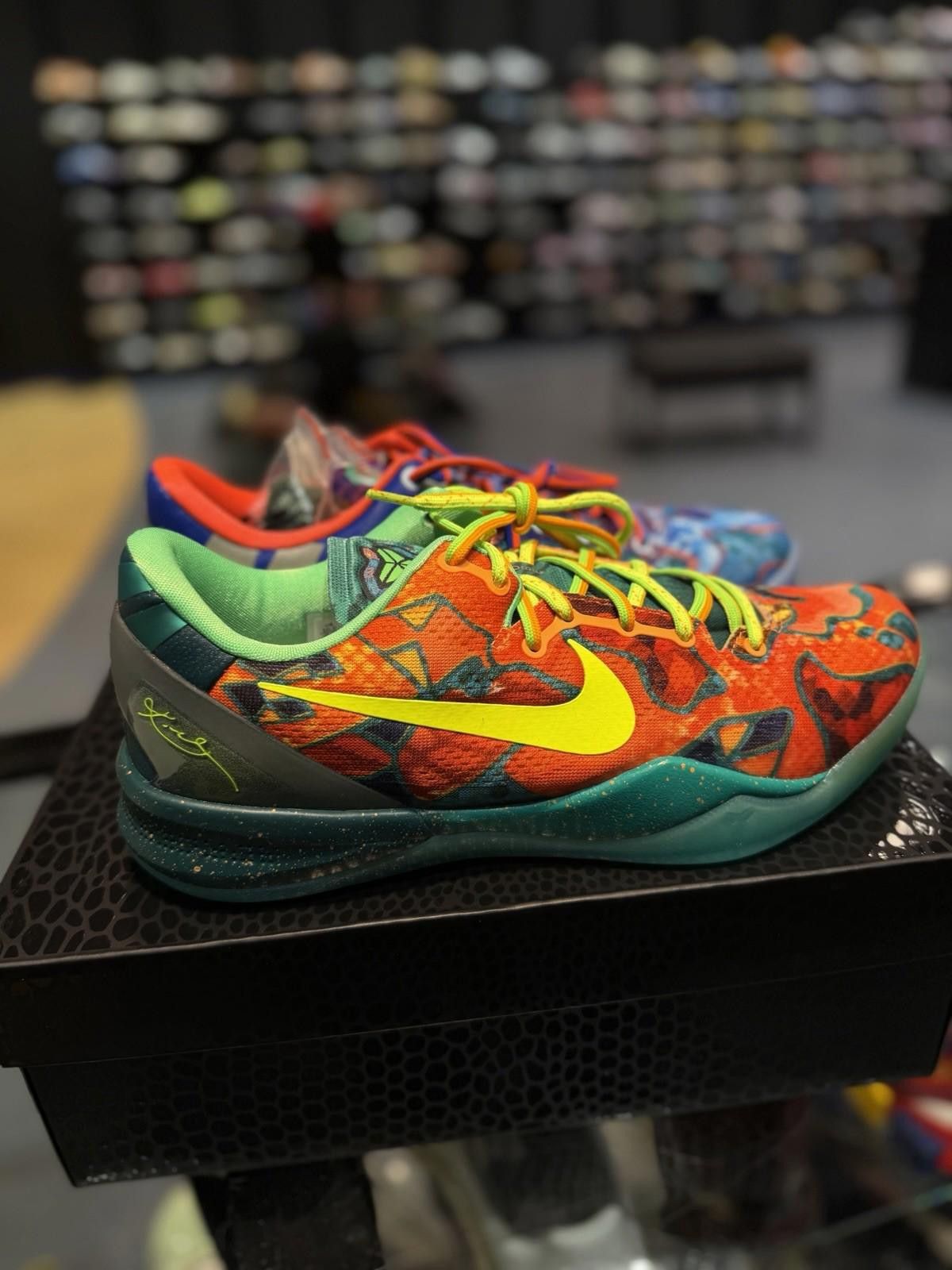 Nike Size 10.5 - Kobe 8 Protro What The Kobe (2025) BRAND NEW Size US 10.5 / EU 43-44 - 3 Thumbnail