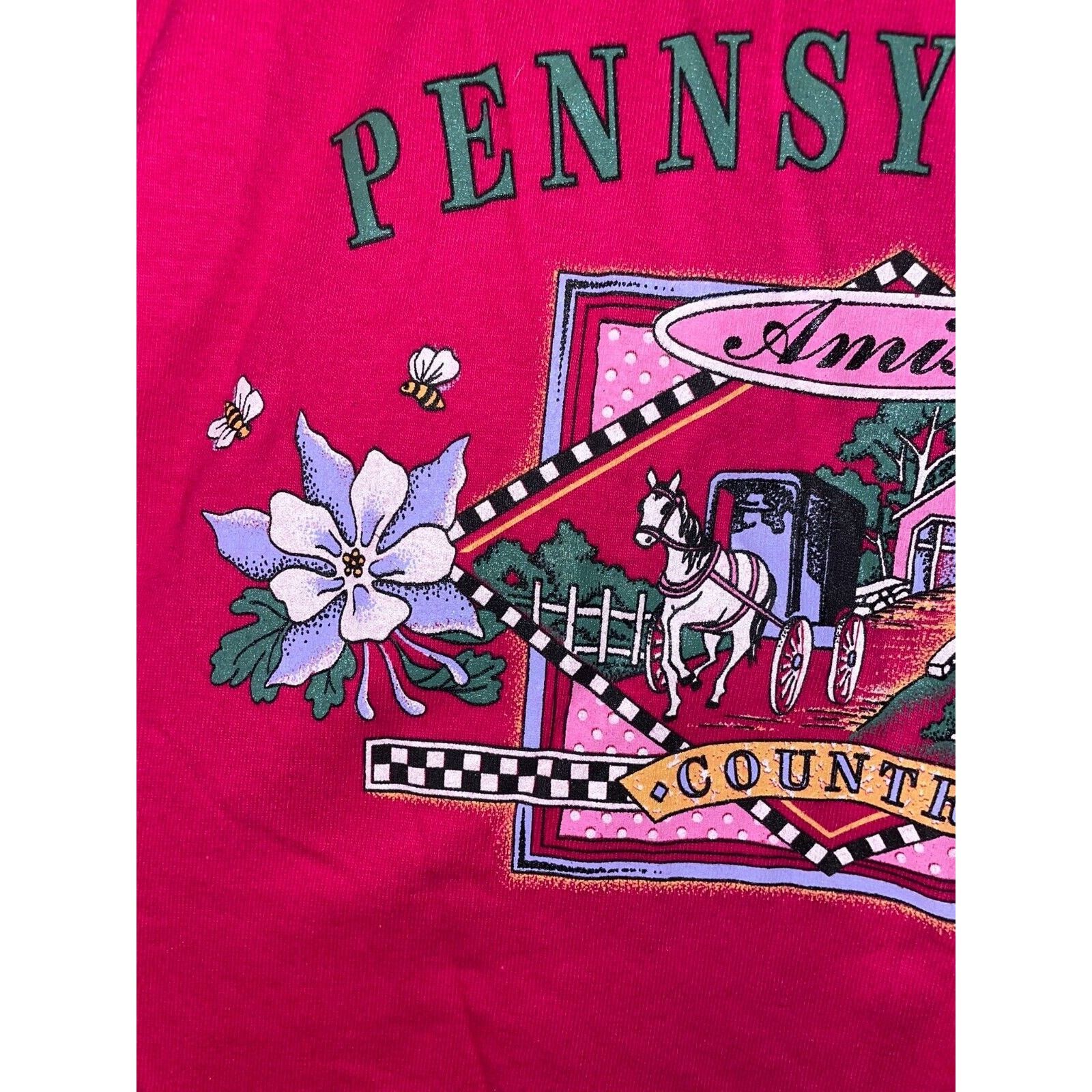 Jerzees Vintage Amish Shirt Pennsylvania Country Tee Pink VTG 90s L Size US L / EU 52-54 / 3 - 3 Thumbnail