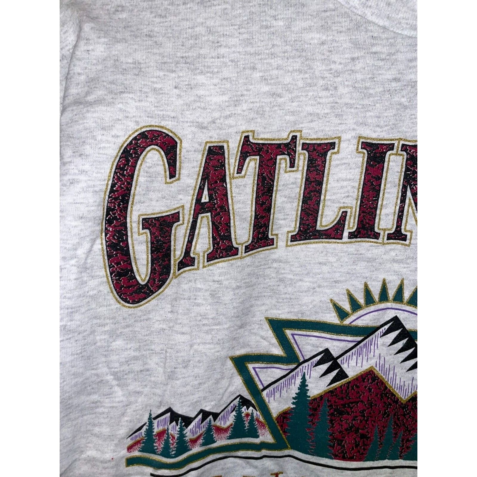 Signal Sport Vintage Gatlinburg Shirt TN Tennessee Gray Tee VTG 90s Large Size US L / EU 52-54 / 3 - 3 Thumbnail