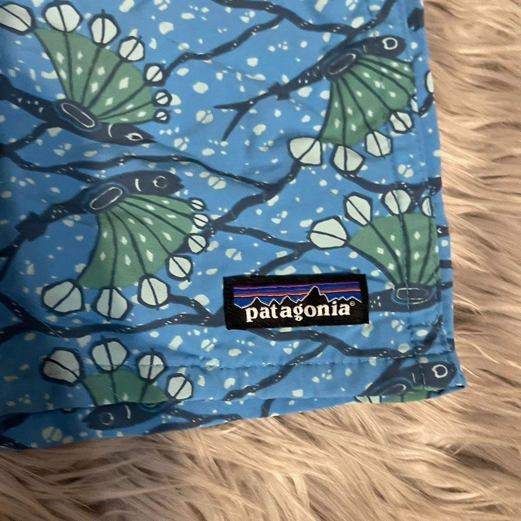 Patagonia Patagonia blue and green athletic shorts(measurements shown) Size 26" / US 2 / IT 38 - 2 Thumbnail