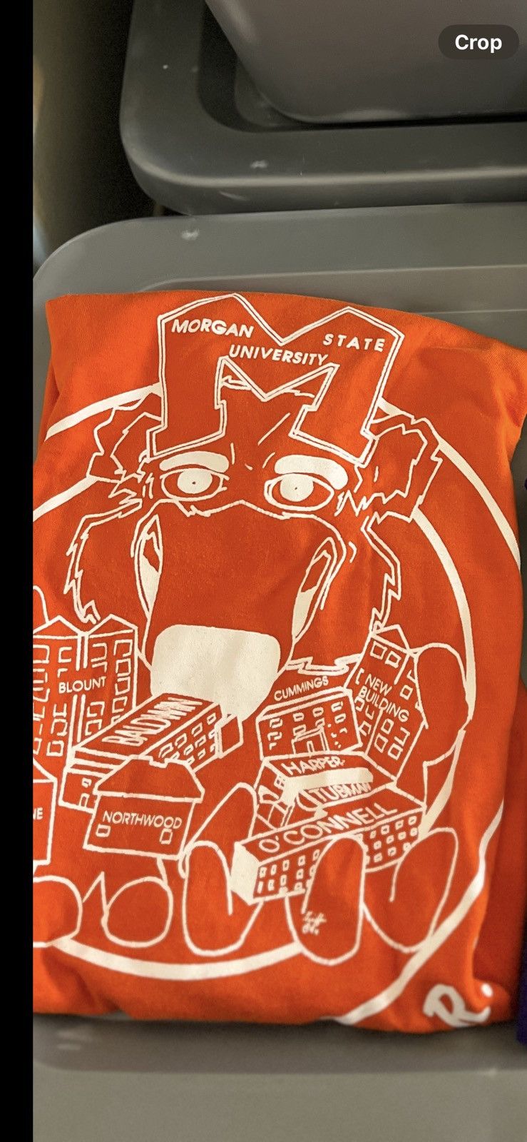 Fruit Of The Loom 3 shirt vintage college shirt bundle morgan northwestern Size US XL / EU 56 / 4 - 7 Thumbnail