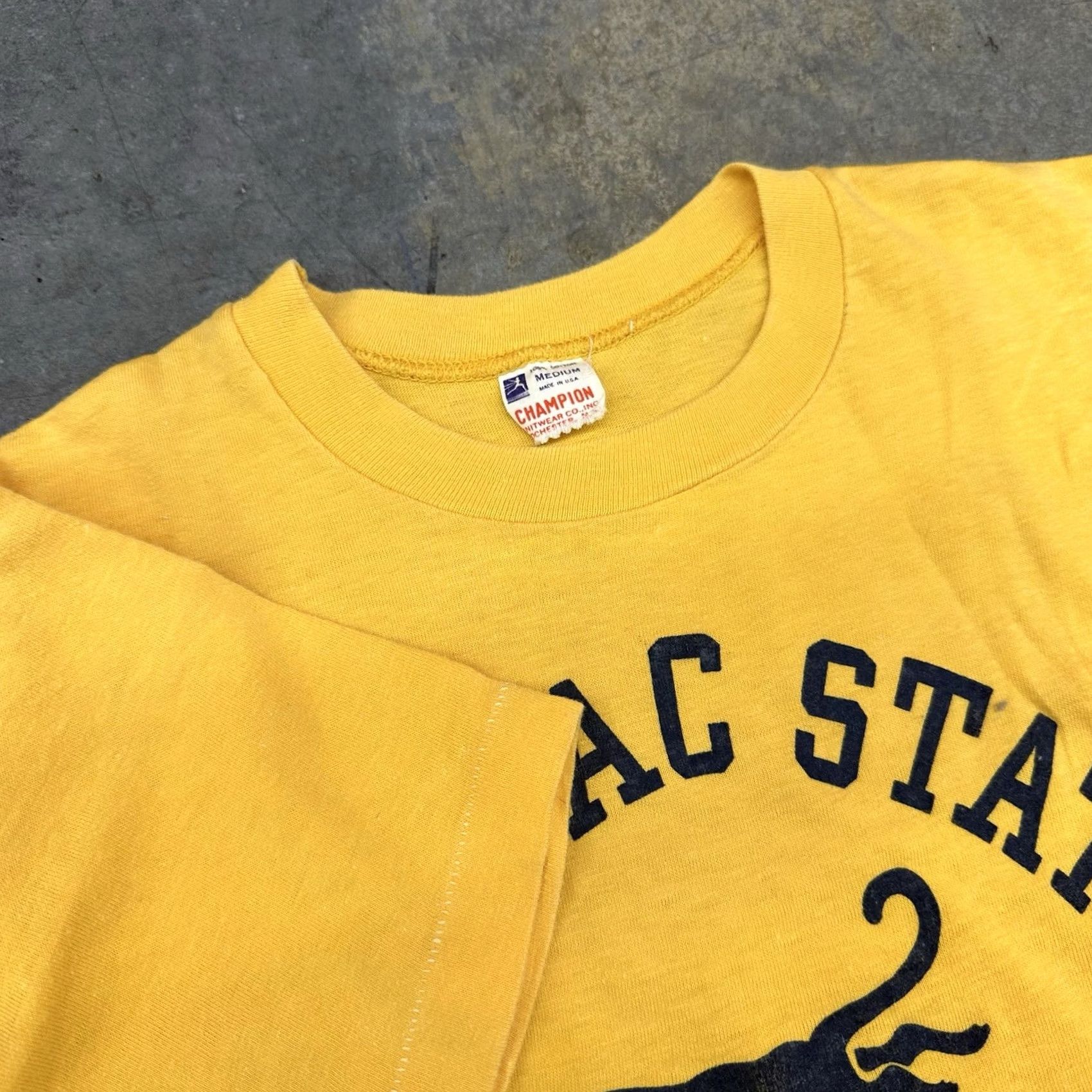 Champion VINTAGE Champion Running Man T Shirt Mens 1950s 60s Potomac State College Panther Yellow M Size US M / EU 48-50 / 2 - 3 Thumbnail