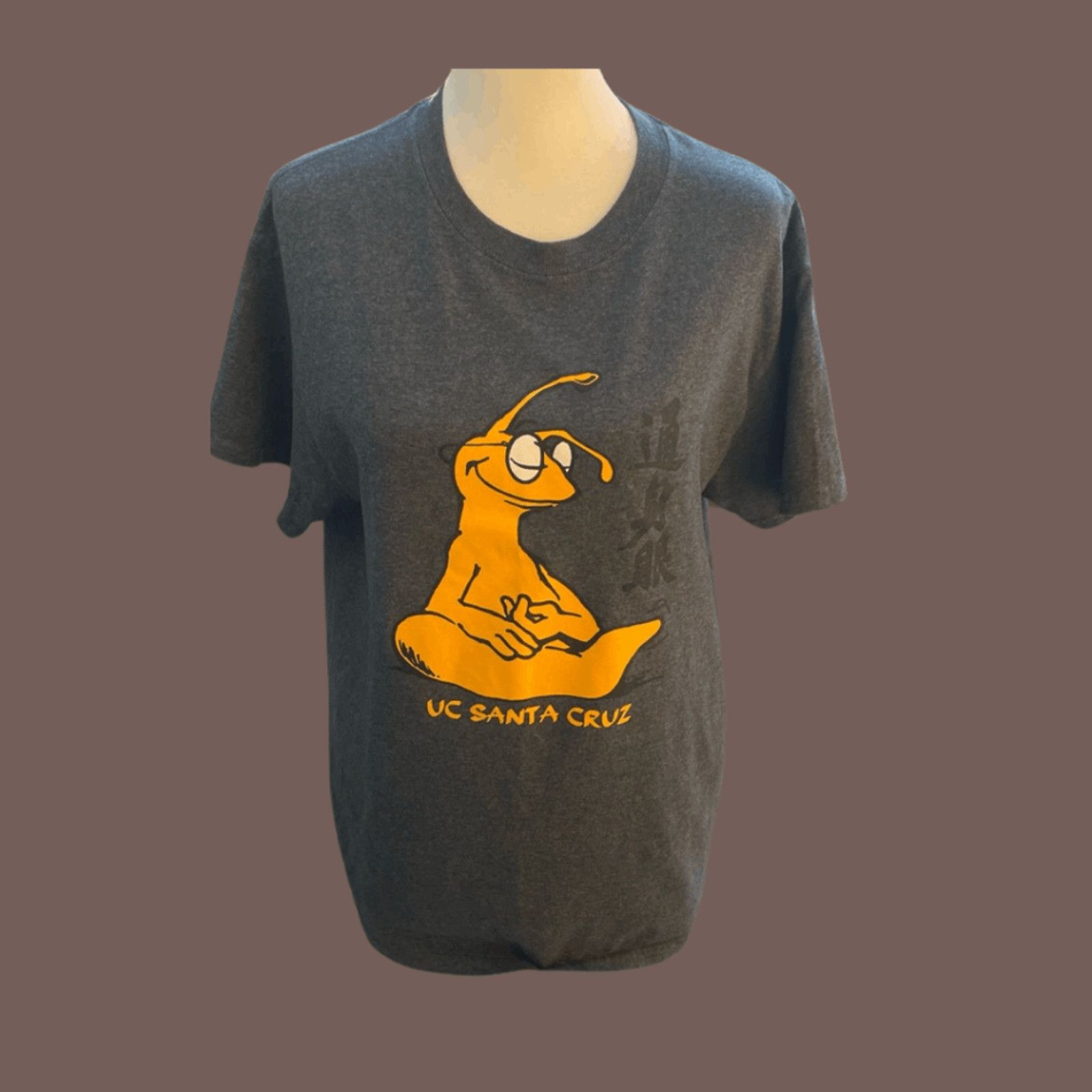 Gildan UC Santa Cruz Tee | Gildan Banana Slug Graphic Gray Size US M / EU 48-50 / 2 - 1 Thumbnail