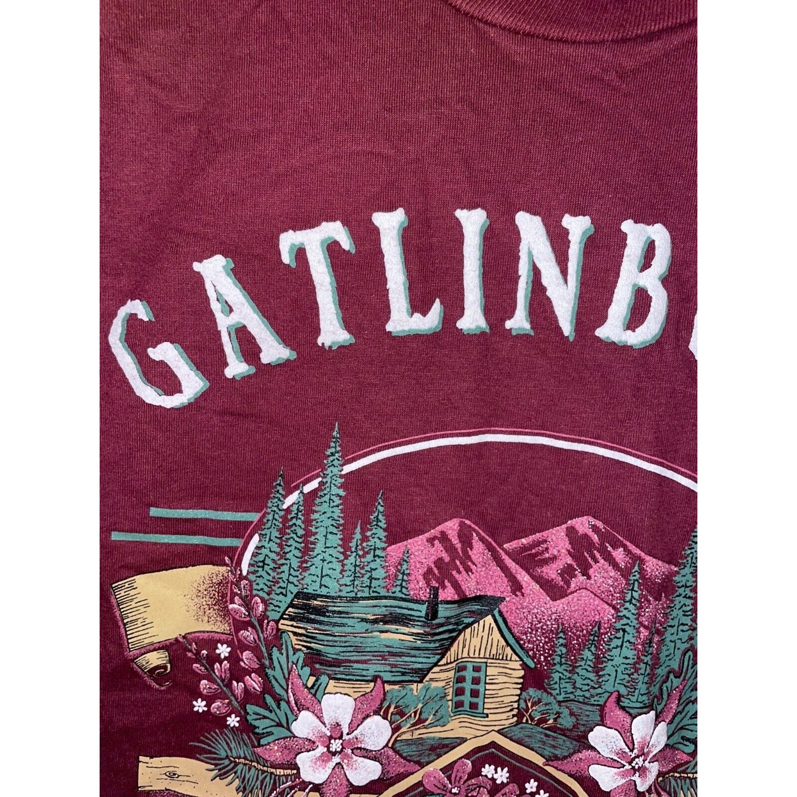 Jerzees Vintage Gatlinburg Tennessee Shirt Cabin Mountain VTG Tee L Size US L / EU 52-54 / 3 - 5 Thumbnail