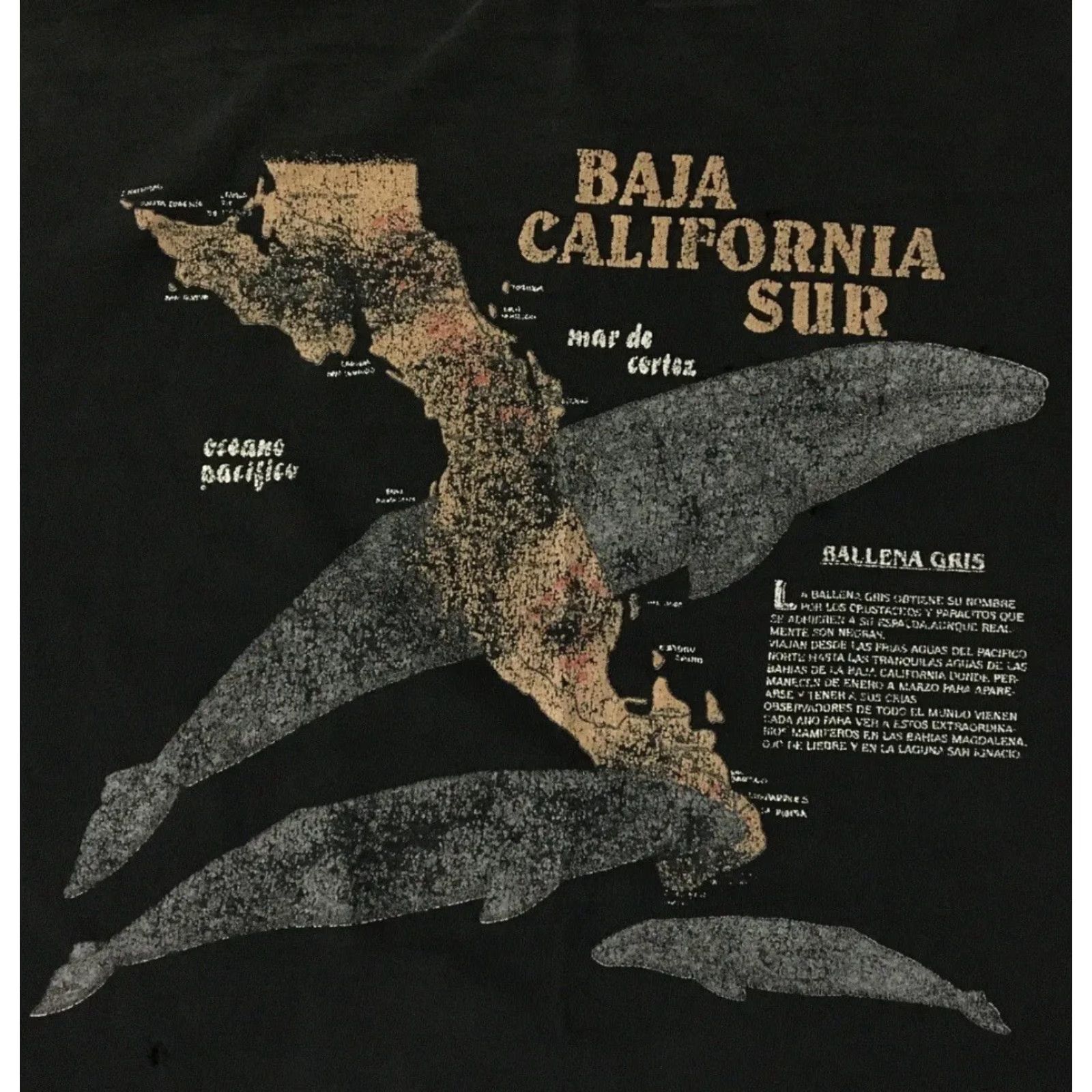 Vintage VINTAGE Animals Baja California Whales Shirt XL Black Short Sleeve Crew Neck Graphic Tee 80s 90s Surf Beach Grunge Marine Punk Rock Tattoos Size US XL / EU 56 / 4 - 3 Thumbnail