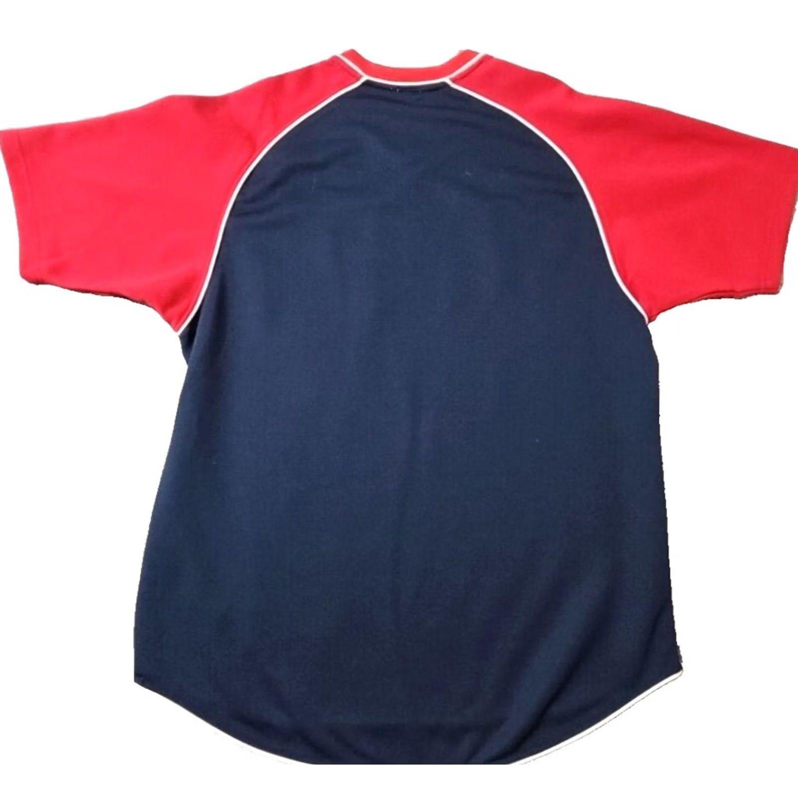 Twins Minnesota Twins Shirt Sewn Logo Embroidered True Fan Large Baseball Jersey Men Size US L / EU 52-54 / 3 - 2 Thumbnail