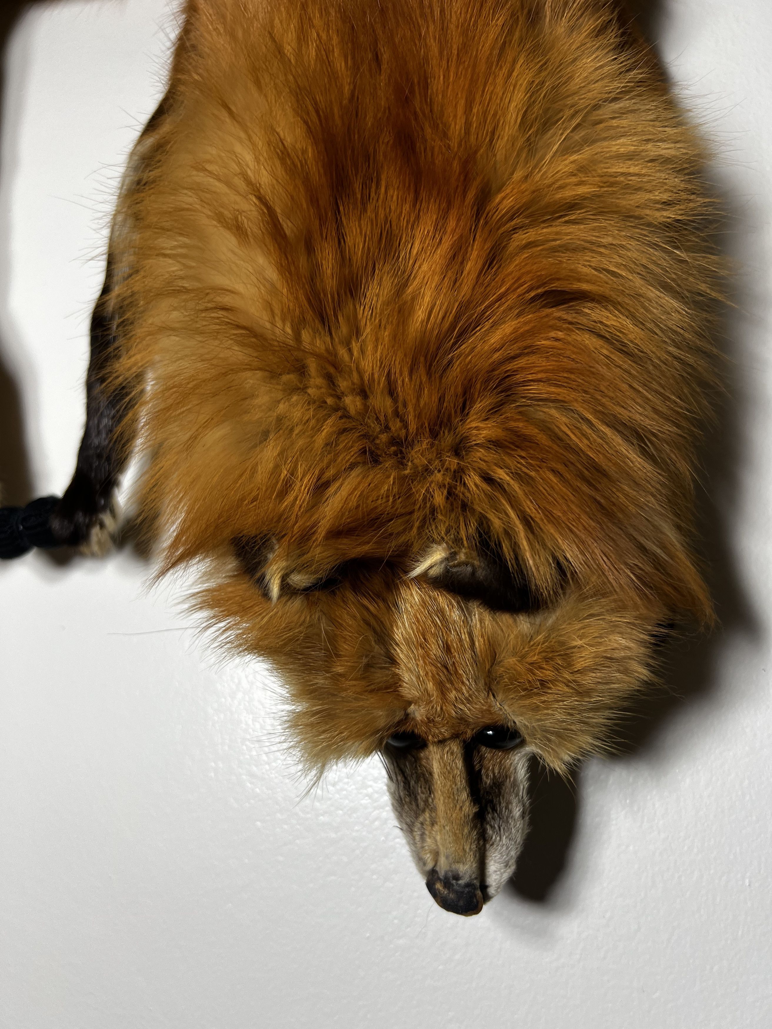 Other × Vintage Vintage 1940's-1950's Red Fox Fur Taxidermy Pelt - Fox Stole Size ONE SIZE - 2 Thumbnail