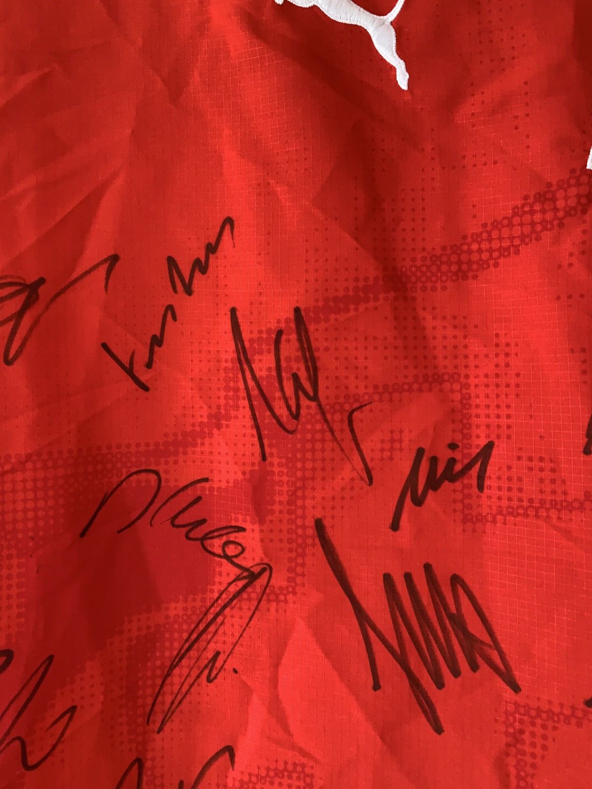 Puma 🔥PUMA SWITZERLAND 2006 2007 SIGNED PLAYERS TRIKOT JERSEY SWI Size US M / EU 48-50 / 2 - 12 Thumbnail
