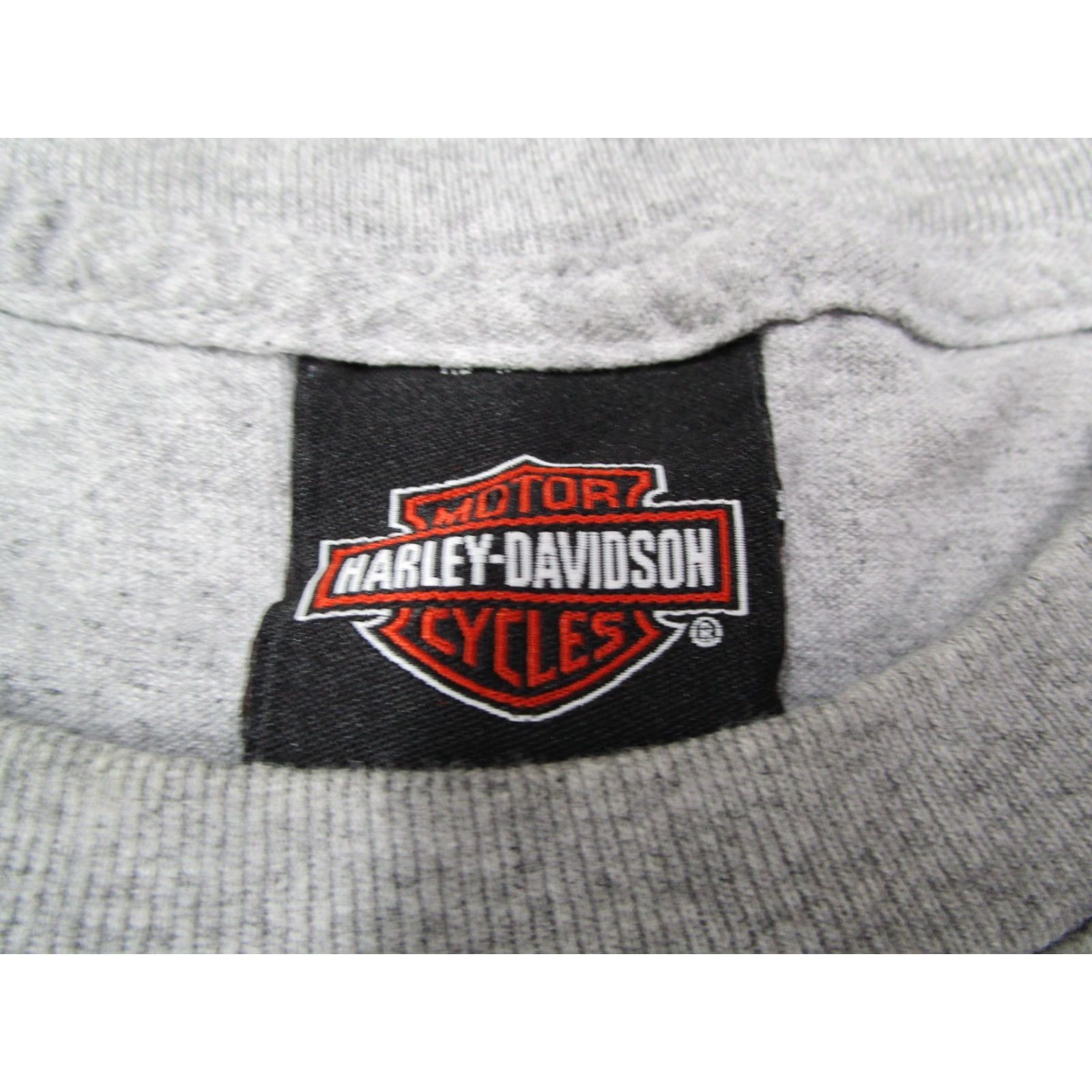 Harley Davidson Harley-Davidson Graphic T-Shirt Men's Large Gray Short Sleeve Crew Neck Gator Leesburg Florida Biker Retro Size US L / EU 52-54 / 3 - 3 Thumbnail