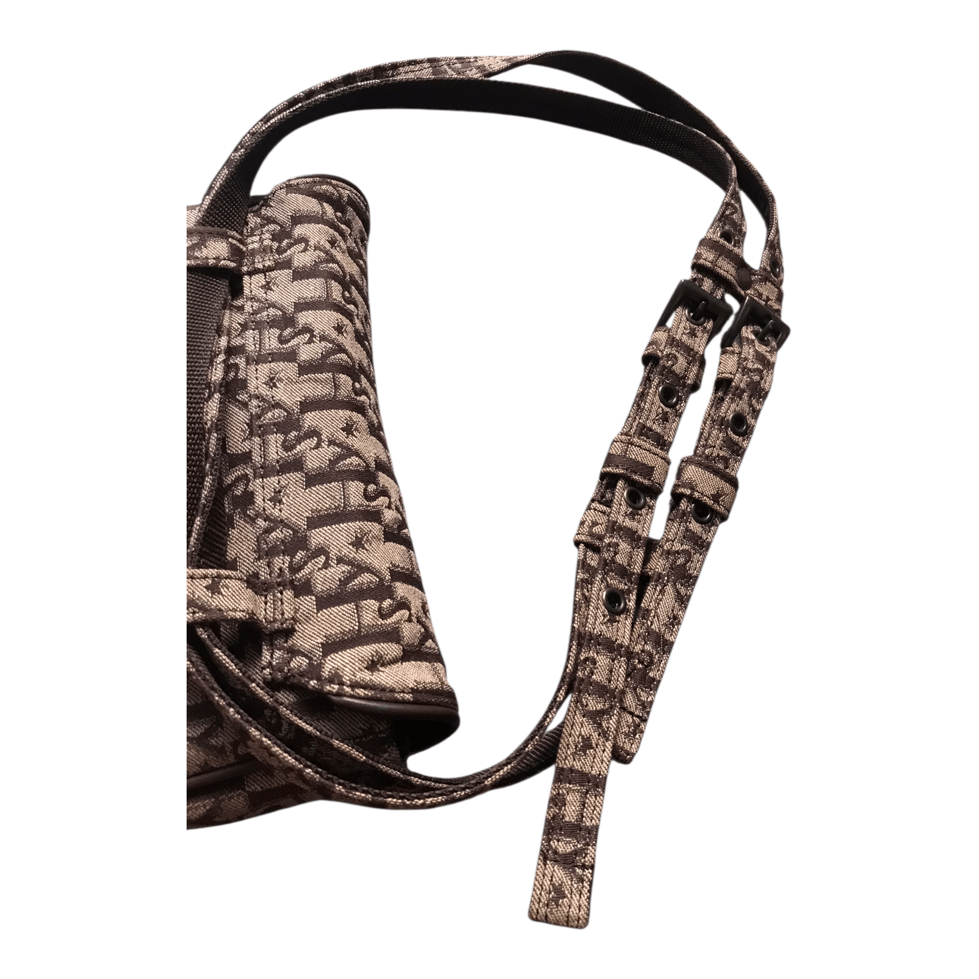 Hysteric Glamour Hysteric Glamour Dior Monogram waistBag Size ONE SIZE - 9 Thumbnail