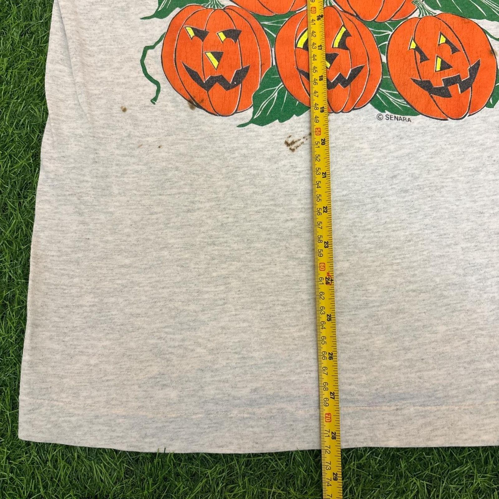 Other Grey Vintage Senara ‘Its Pumpkin Time’ Graphic Tee Size US M / EU 48-50 / 2 - 3 Thumbnail
