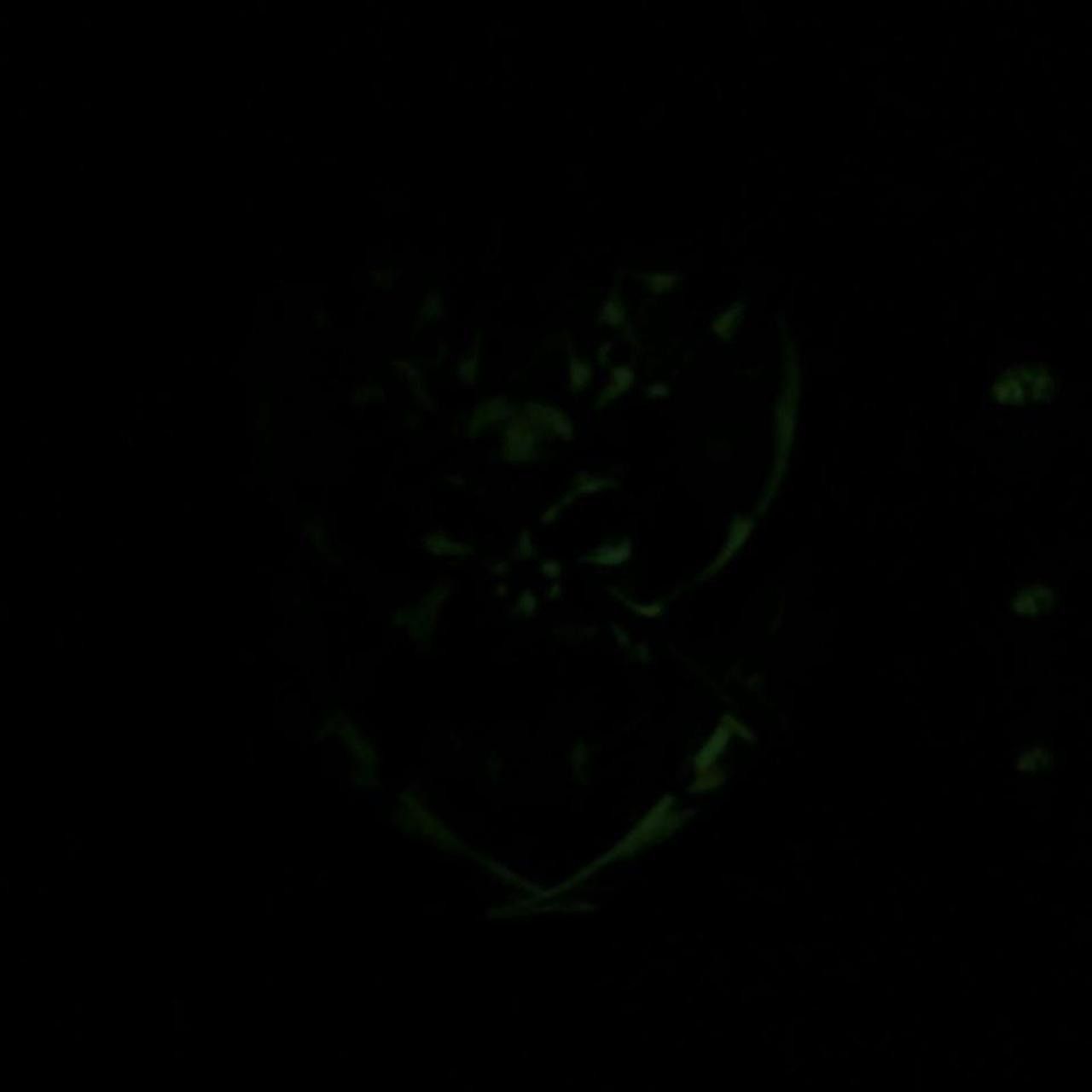Vintage Y2K 2000s Cyber Skull Tribal Glow In The Dark Longsleeve Tee Size US XL / EU 56 / 4 - 6 Thumbnail