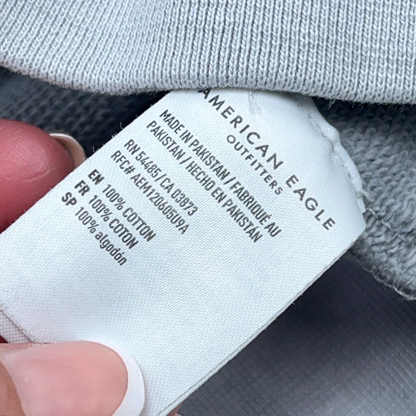 American Eagle Outfitters American Eagle Hoodie Men L Gray Sweatshirt Heavy Cotton Retro AEO Size US L / EU 52-54 / 3 - 6 Thumbnail