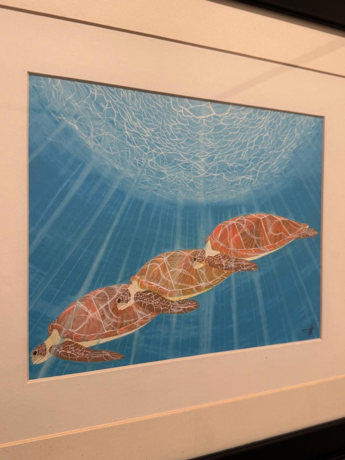 Other Scott Wright La Jolla Framed Sea Turtles Underwater Art Prin Size ONE SIZE - 9 Thumbnail