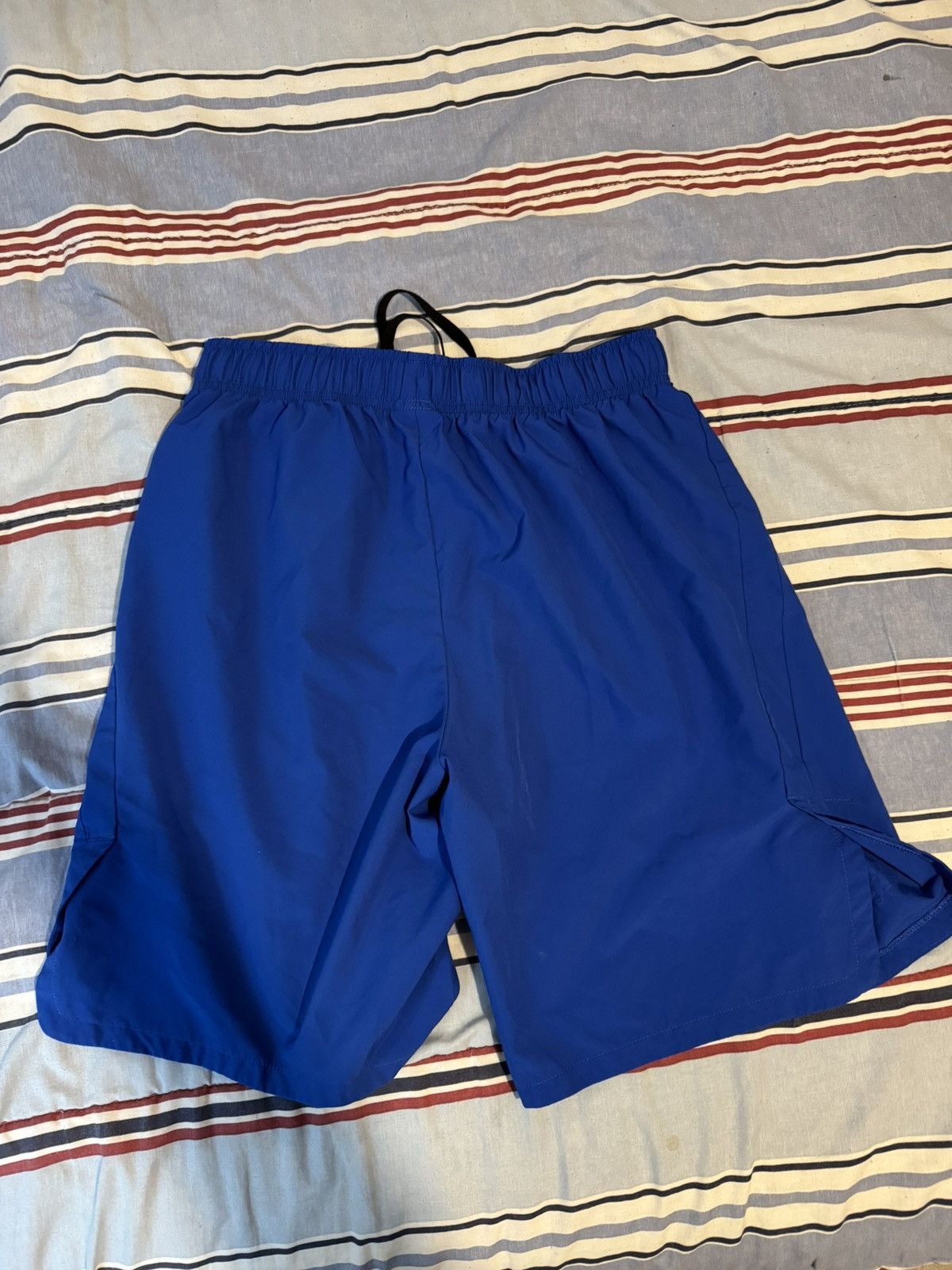 Nike Nike Blue Short Size US 30 / EU 46 - 2 Thumbnail