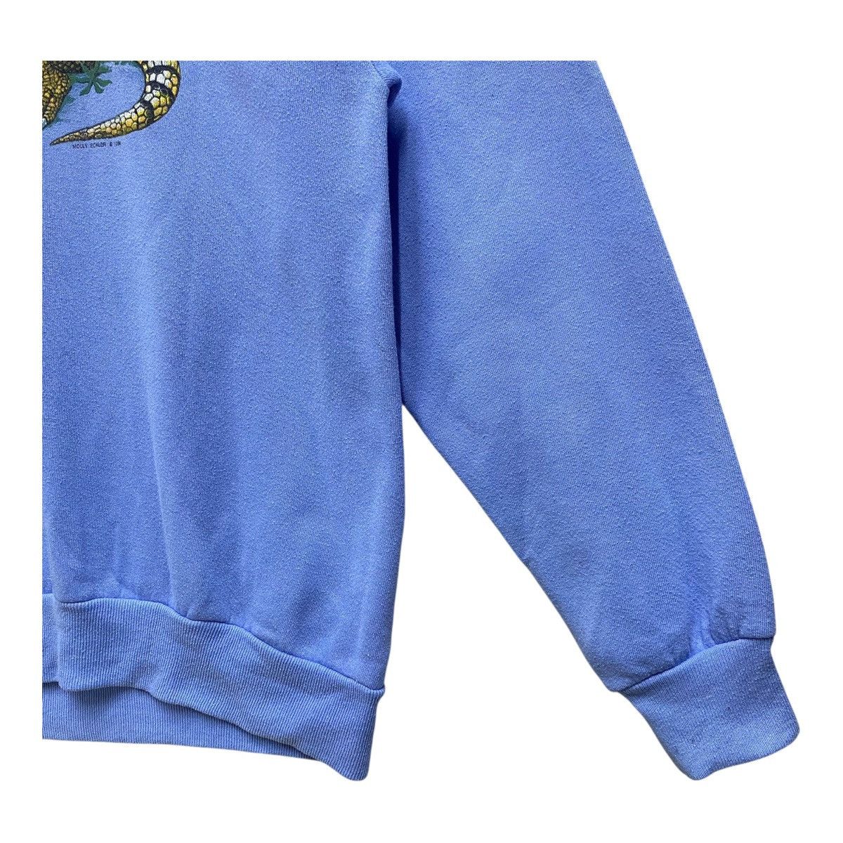 Other Vintage 1996 Armadillo Graphic Sweatshirt, Molly Eckler Art Size US L / EU 52-54 / 3 - 4 Thumbnail