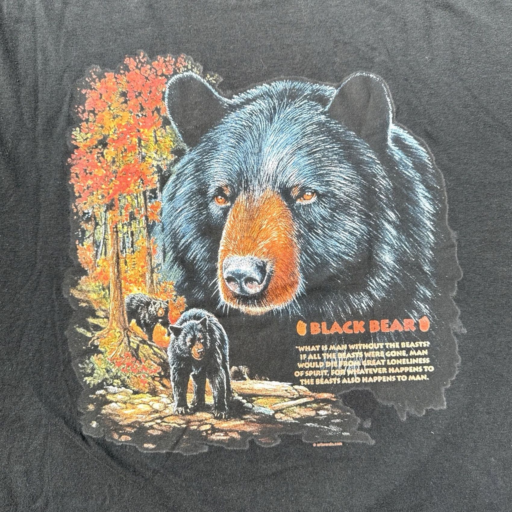 Jerzees VINTAGE Black Bear T Shirt XXL Jerzees Wildlife Nature Biker Motorcycle Mens Size US XXL / EU 58 / 5 - 8 Thumbnail