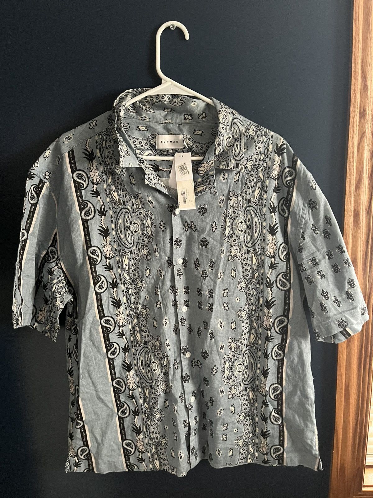 Topman Topman Light Blue Dragon Button Up Shirt Size US XL / EU 56 / 4 - 1 Thumbnail