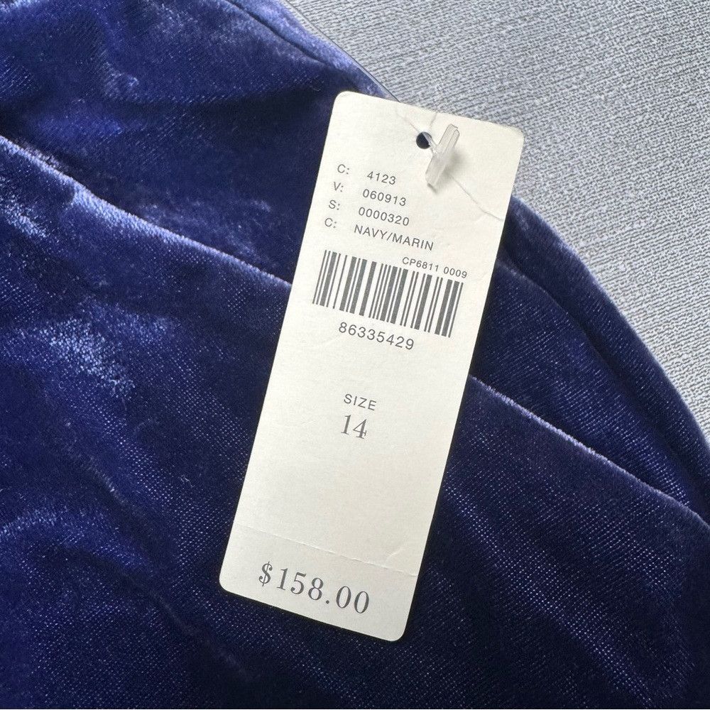 Anthropologie NWT New $158 Anthropologie Maeve Velvet Avery Navy Wide Leg Size 36" / US 14 / IT 50 - 5 Thumbnail