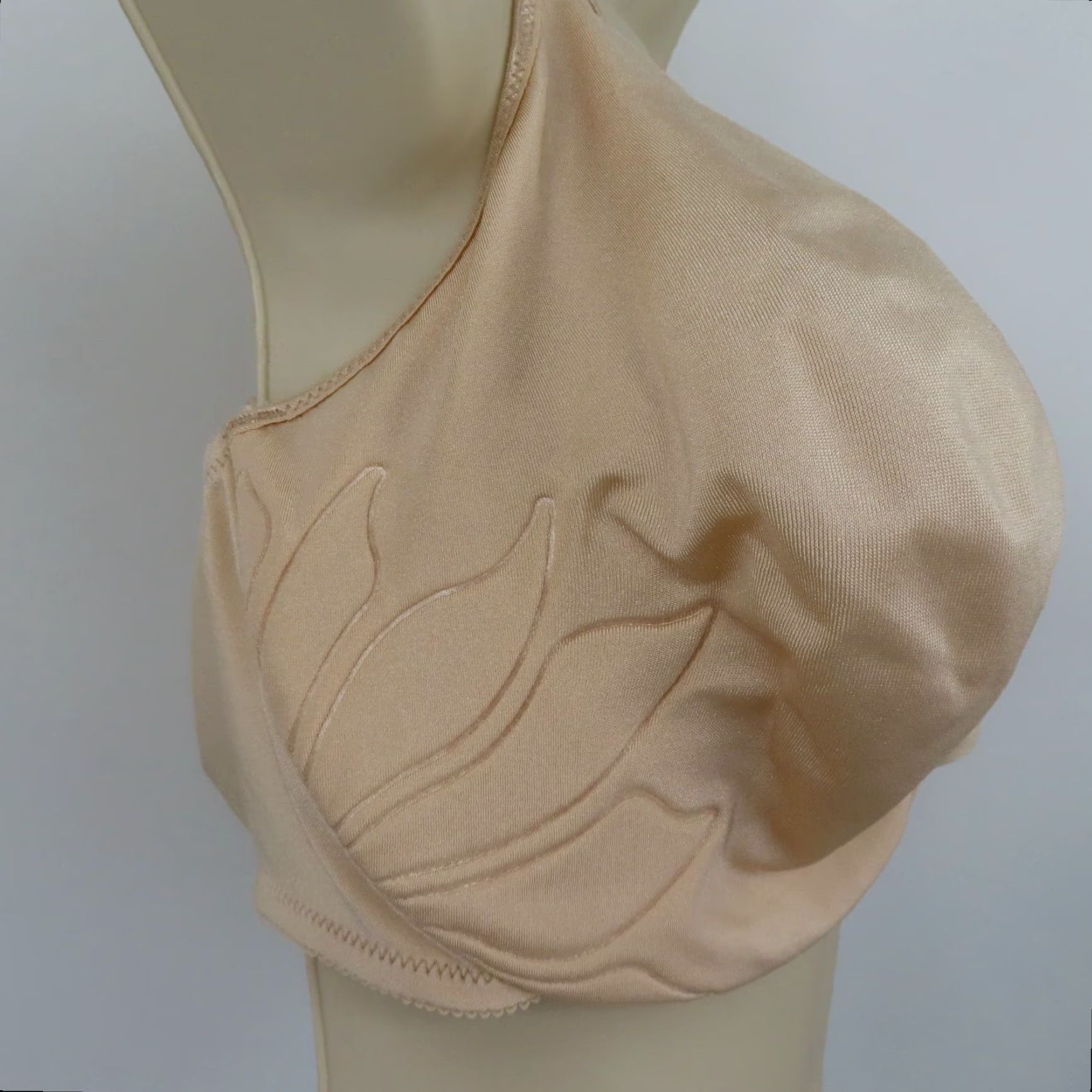 Vintage Bali Live It Up Seamless Underwire Bra 42DDD Beige Plus Size Women NEW Size ONE SIZE - 2 Thumbnail