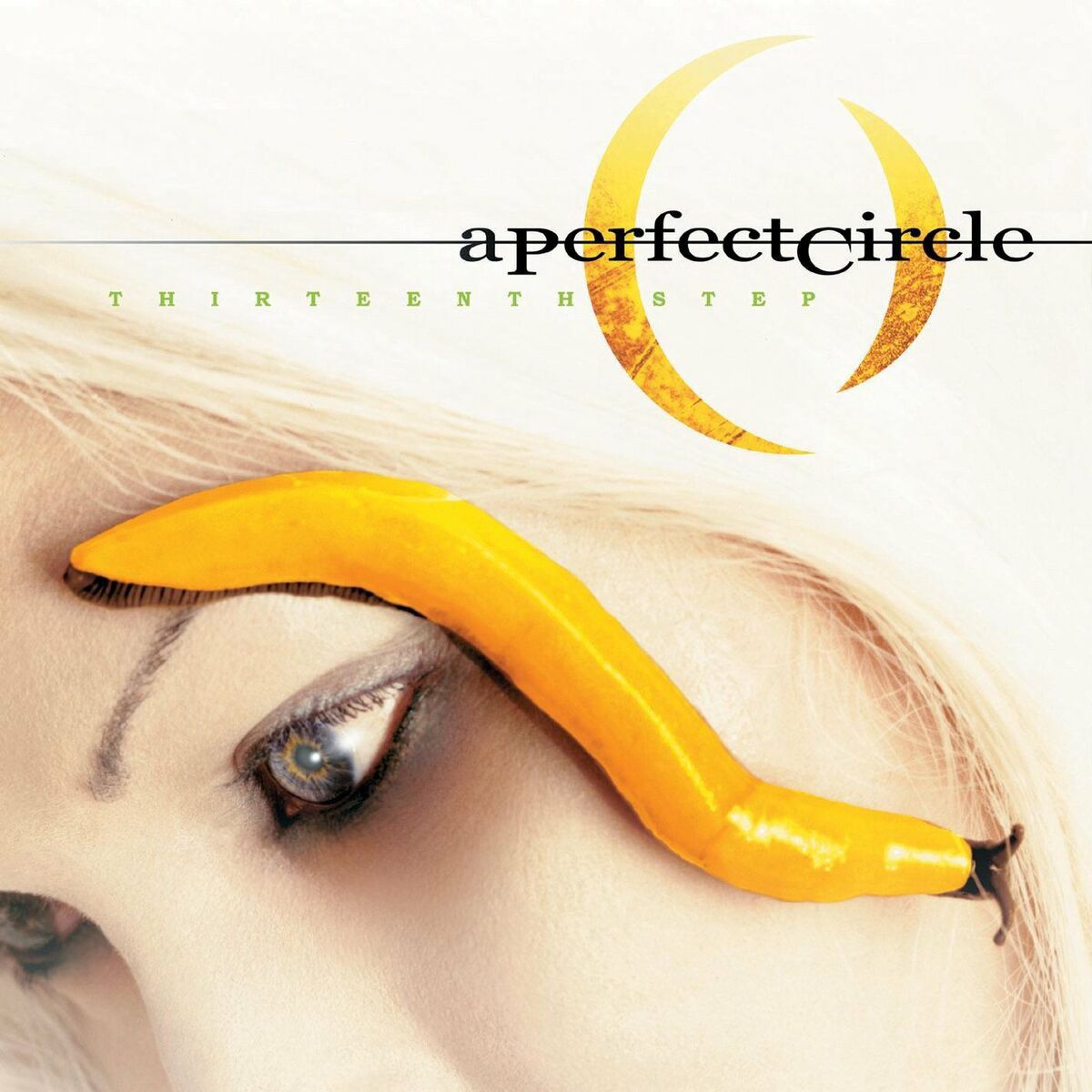 Band Tees 2010 A Perfect Circle ‘Thirteenth Step’ Album Tour Tee Size US L / EU 52-54 / 3 - 6 Thumbnail