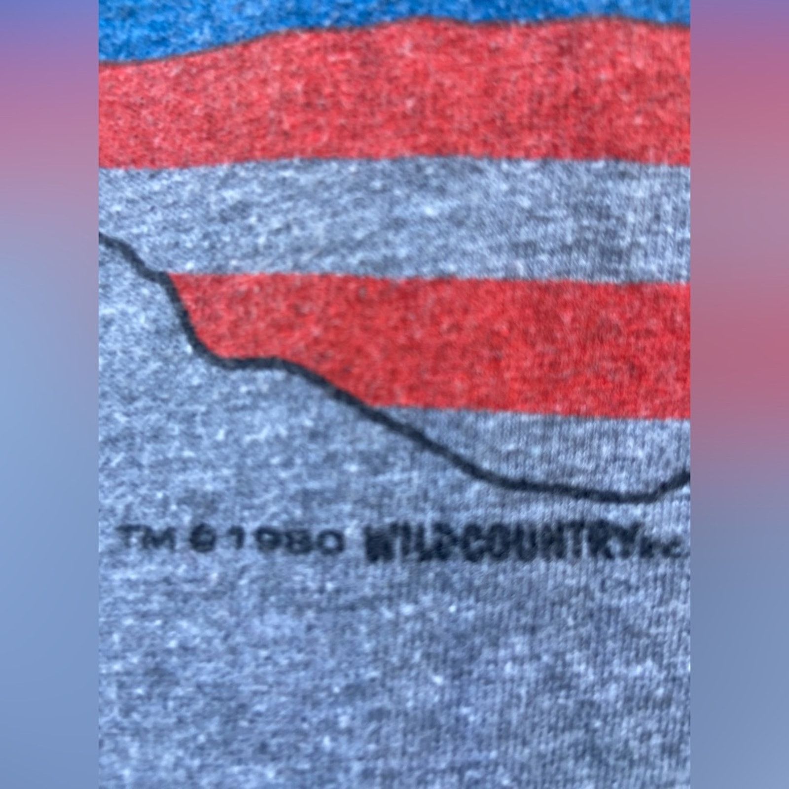 Gildan Alabama 1980 Tour Cropped T Shirt Size US L / EU 52-54 / 3 - 3 Thumbnail