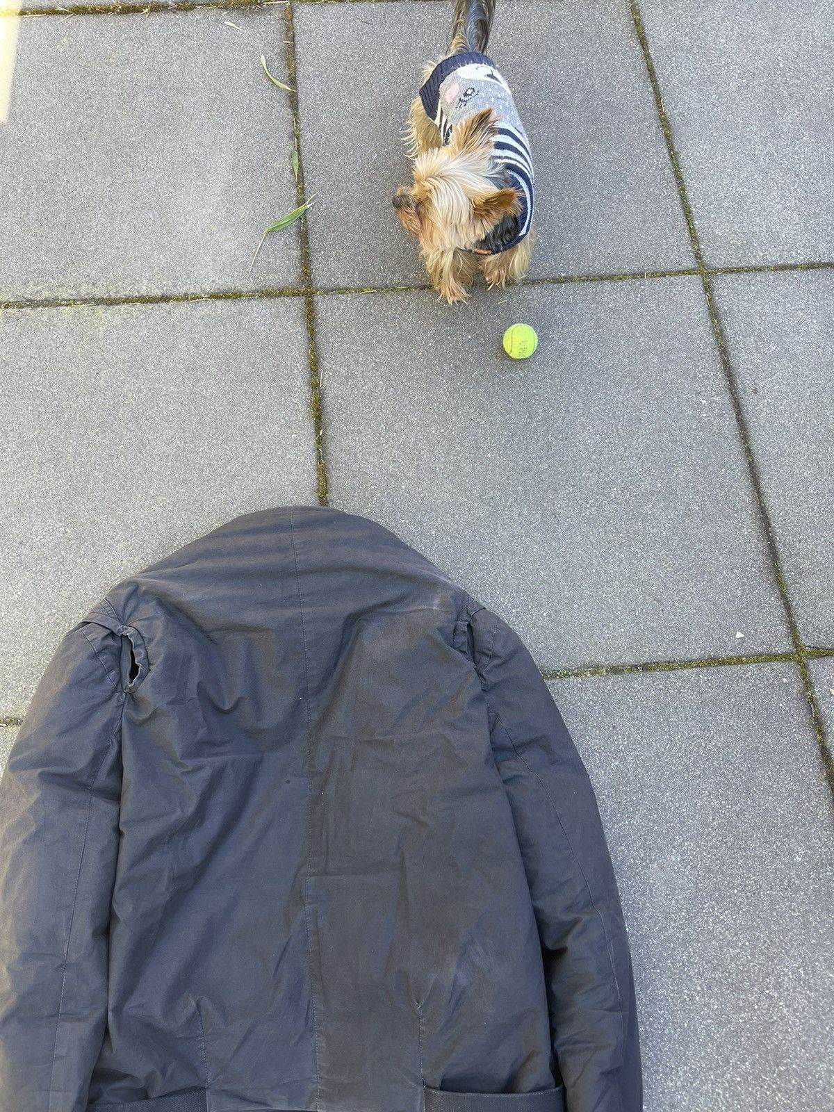 Rick Owens × Rick Owens Drkshdw *Fits mens L* aw05 MOOG runway Duvet bondage bomber Jacket Size US S / EU 44-46 / 1 - 7 Thumbnail