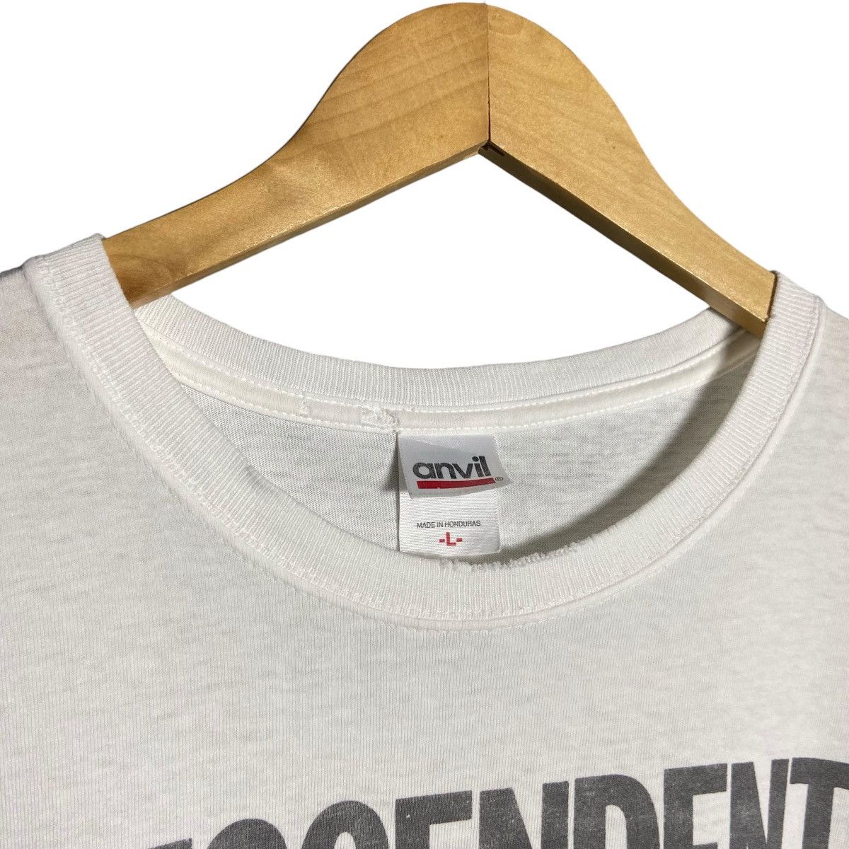 Band Tees Vintage 00s Descendents Band Tee / Hardcore Punk Size US L / EU 52-54 / 3 - 5 Thumbnail