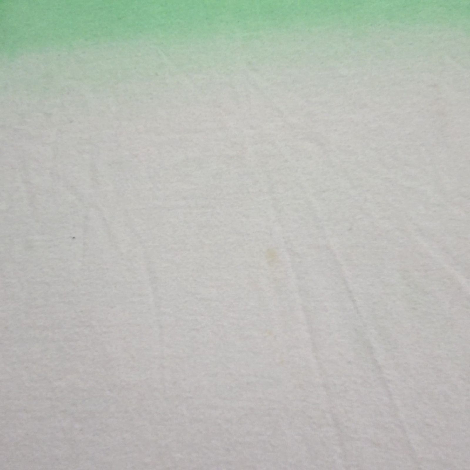Santa Cruz Skateboards Santa Cruz Shirt Screaming Hand Green Medium Graphic Tee Size US M / EU 48-50 / 2 - 8 Thumbnail