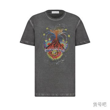 image of Dior O1Bcso1Str0224 T-Shirt In Grey, Women's (Size XL)