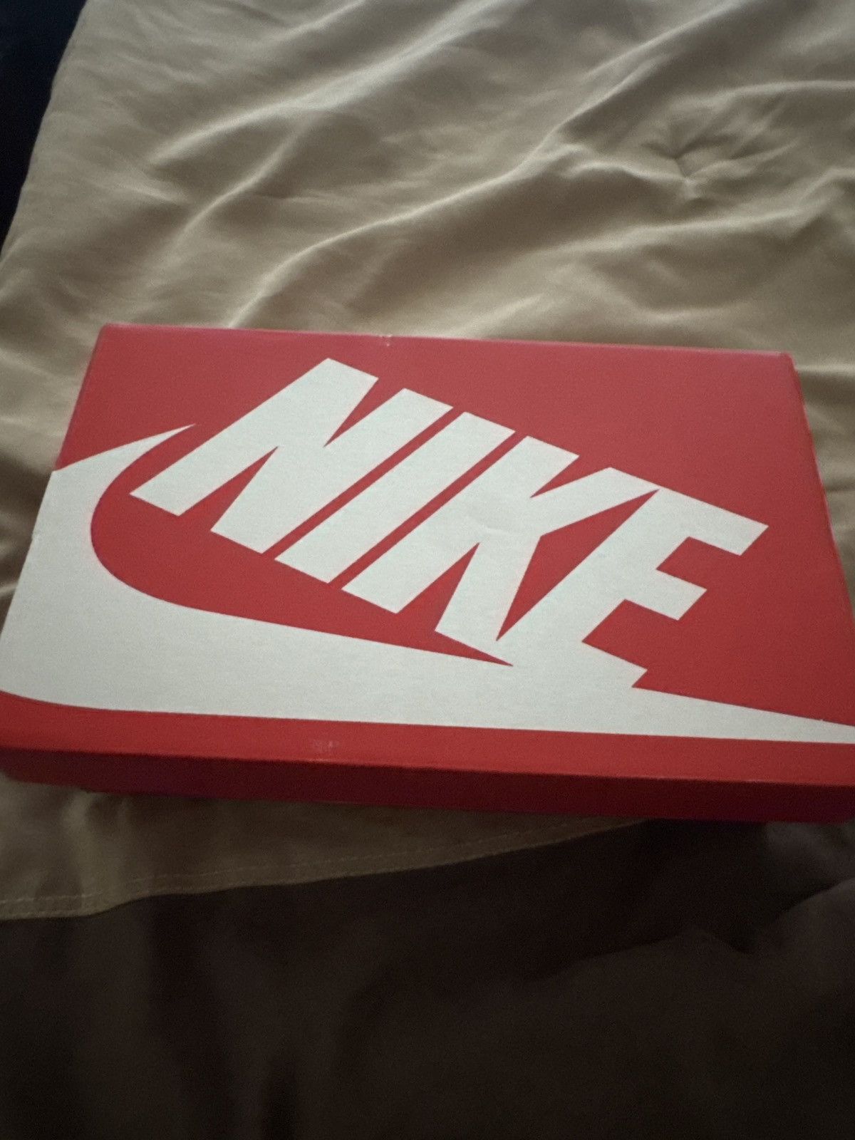 Nike Nike P-6000 Size US 8 / EU 41 - 8 Thumbnail