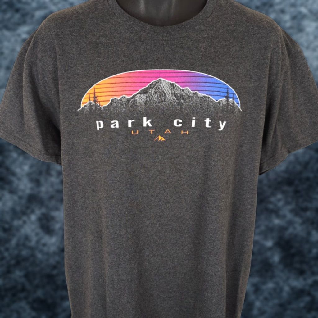 Vintage Park City Utah T Shirt Mens Size Large Gray Ski Travel Destination Tee Size US L / EU 52-54 / 3 - 1 Thumbnail