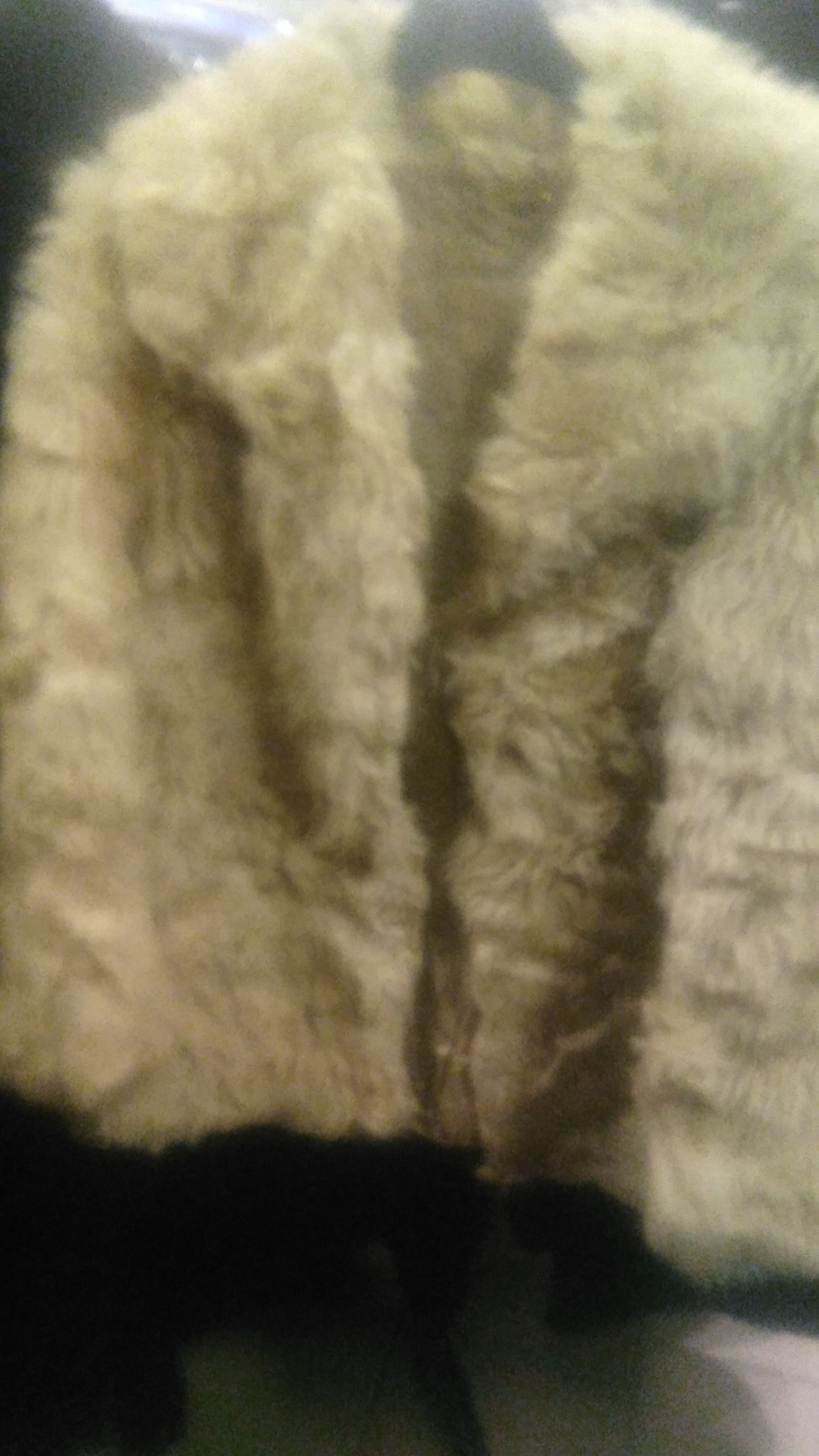 Canali Fur vest. Size L / US 10 / IT 46 - 2 Thumbnail