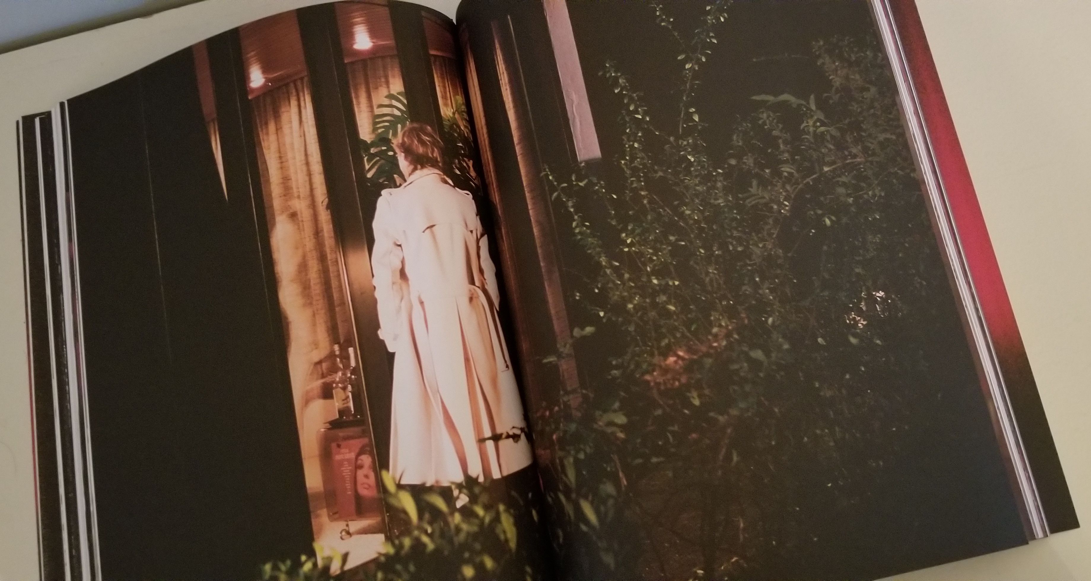 A Magazine #6 Curated by Veronique Branquinho Periodical Raf