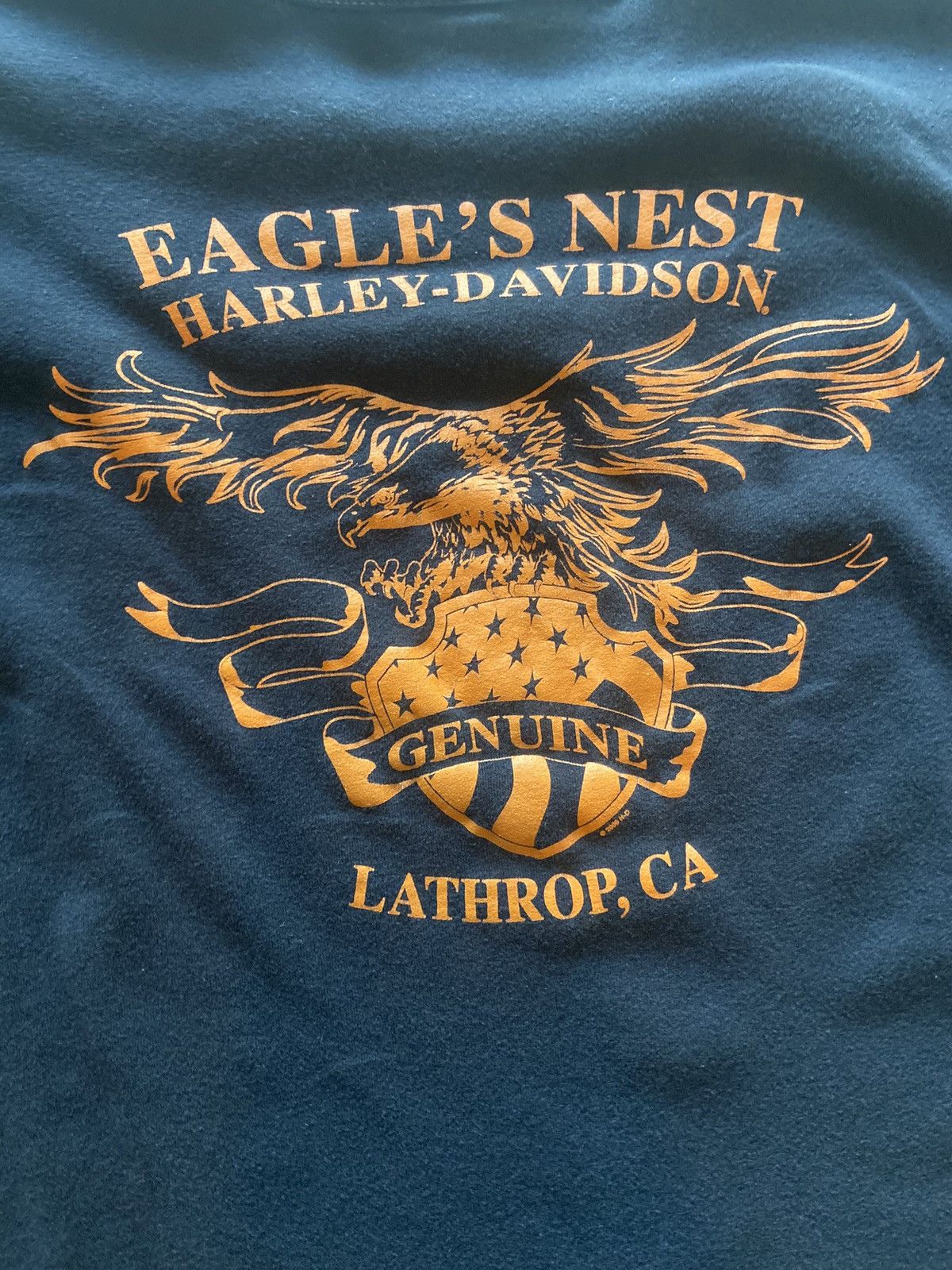Harley Davidson Harley Davidson Legendary Eagle’s Nest Long Sleeve Shirt Size US XL / EU 56 / 4 - 6 Thumbnail