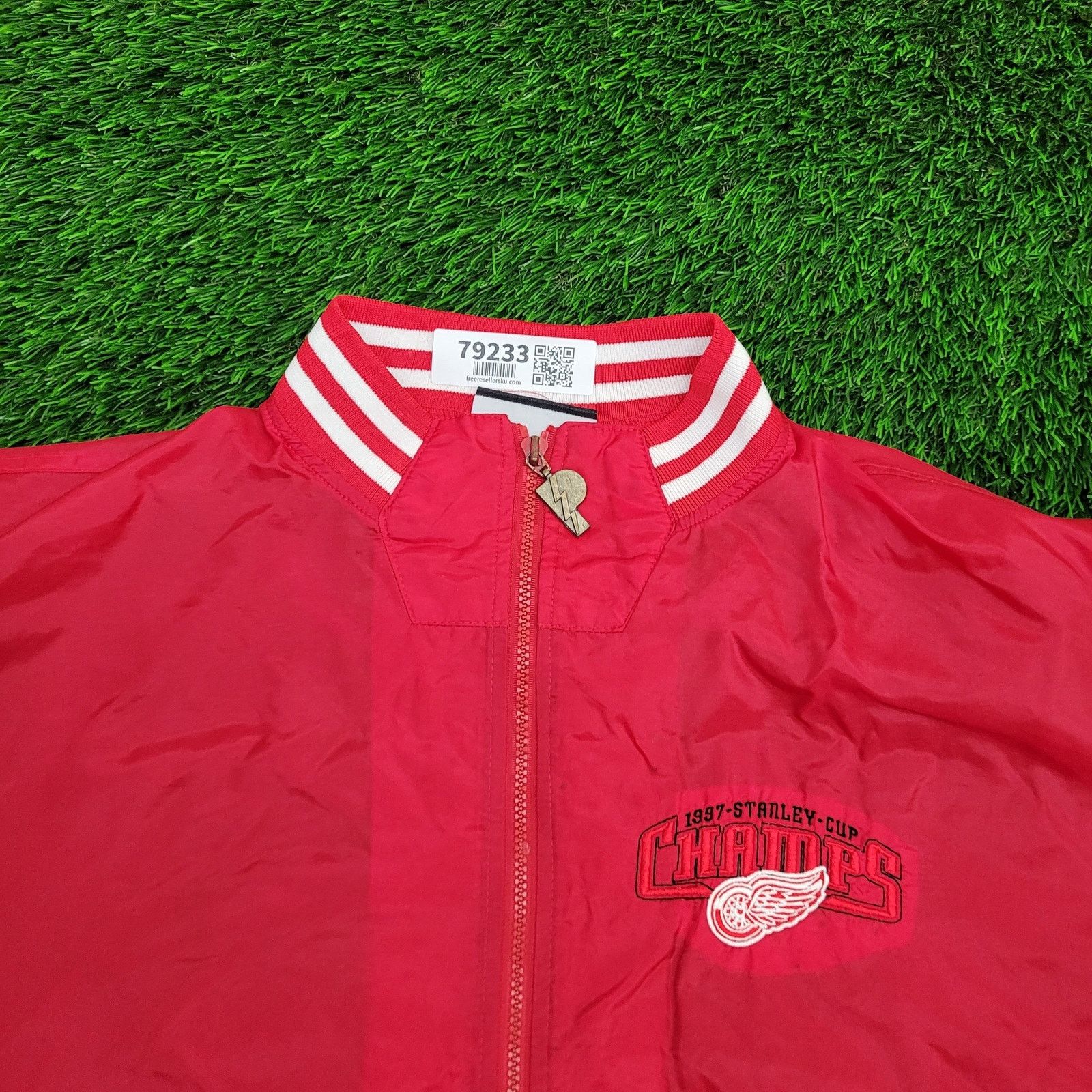 Pro Player Vintage 90s Detroit Red-Wings Jacket Medium 27x27 Baggy Red Size US M / EU 48-50 / 2 - 16 Thumbnail