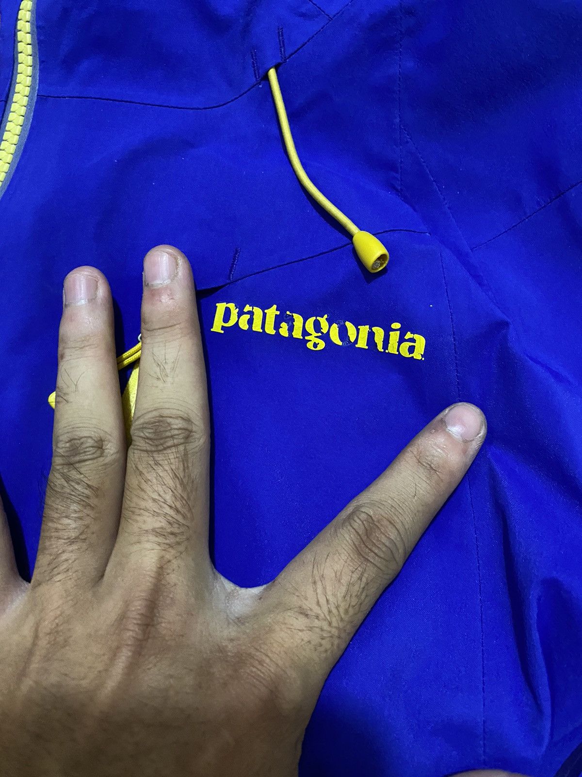 Patagonia Patagonia goretex recco Size US XS / EU 42 / 0 - 4 Thumbnail