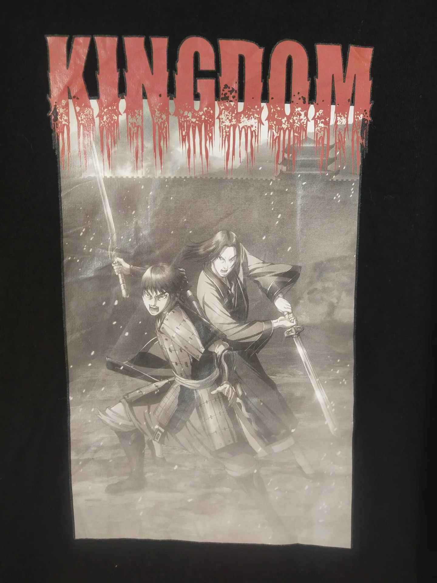 Anime Kingdom Fighting Stance Art Anime Tee Size US M / EU 48-50 / 2 - 2 Thumbnail