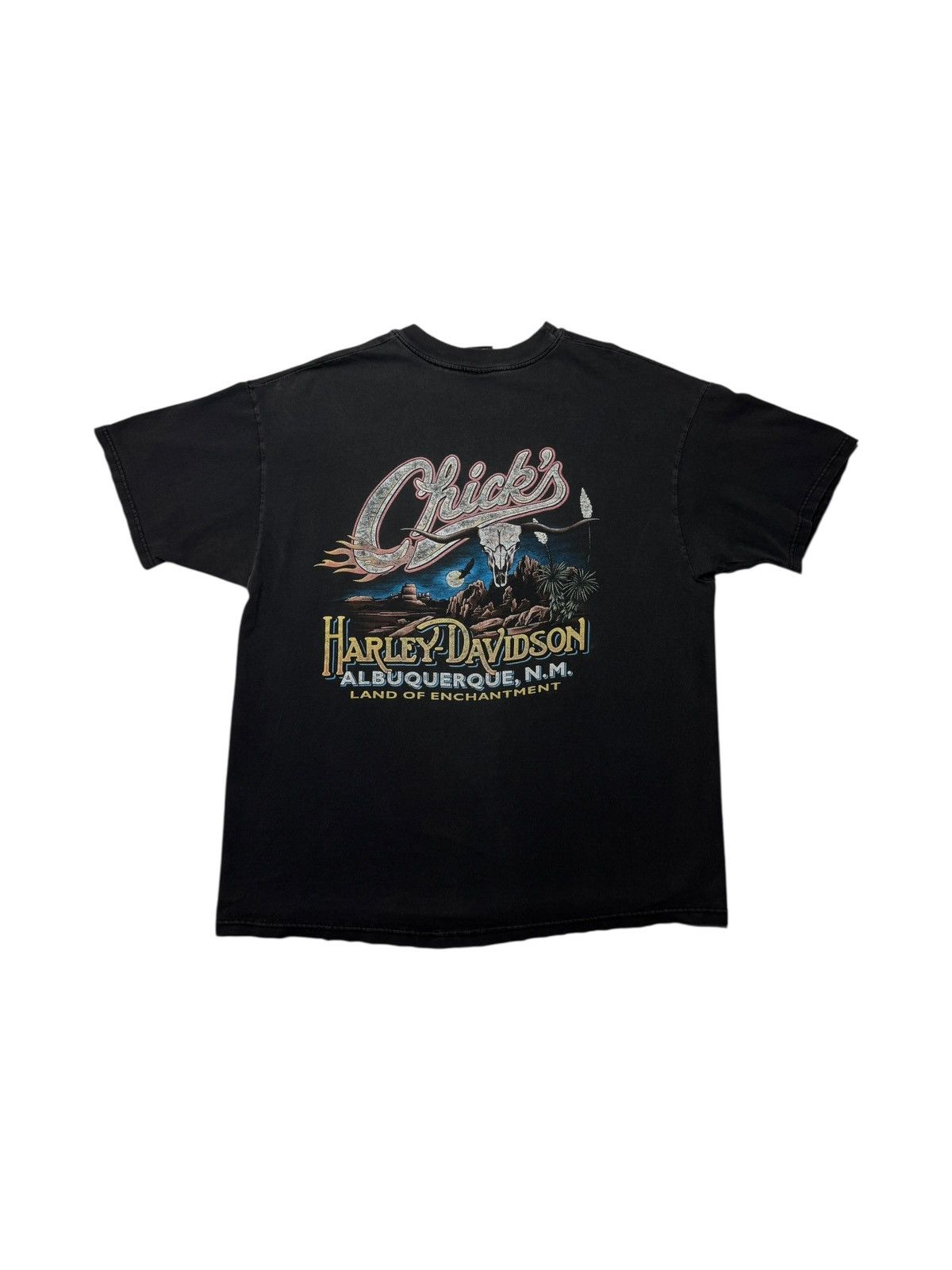 Vintage Vintage 2000 Chicks N.M. Harley Davidson Biker Tee Shirt Size US XL / EU 56 / 4 - 4 Thumbnail