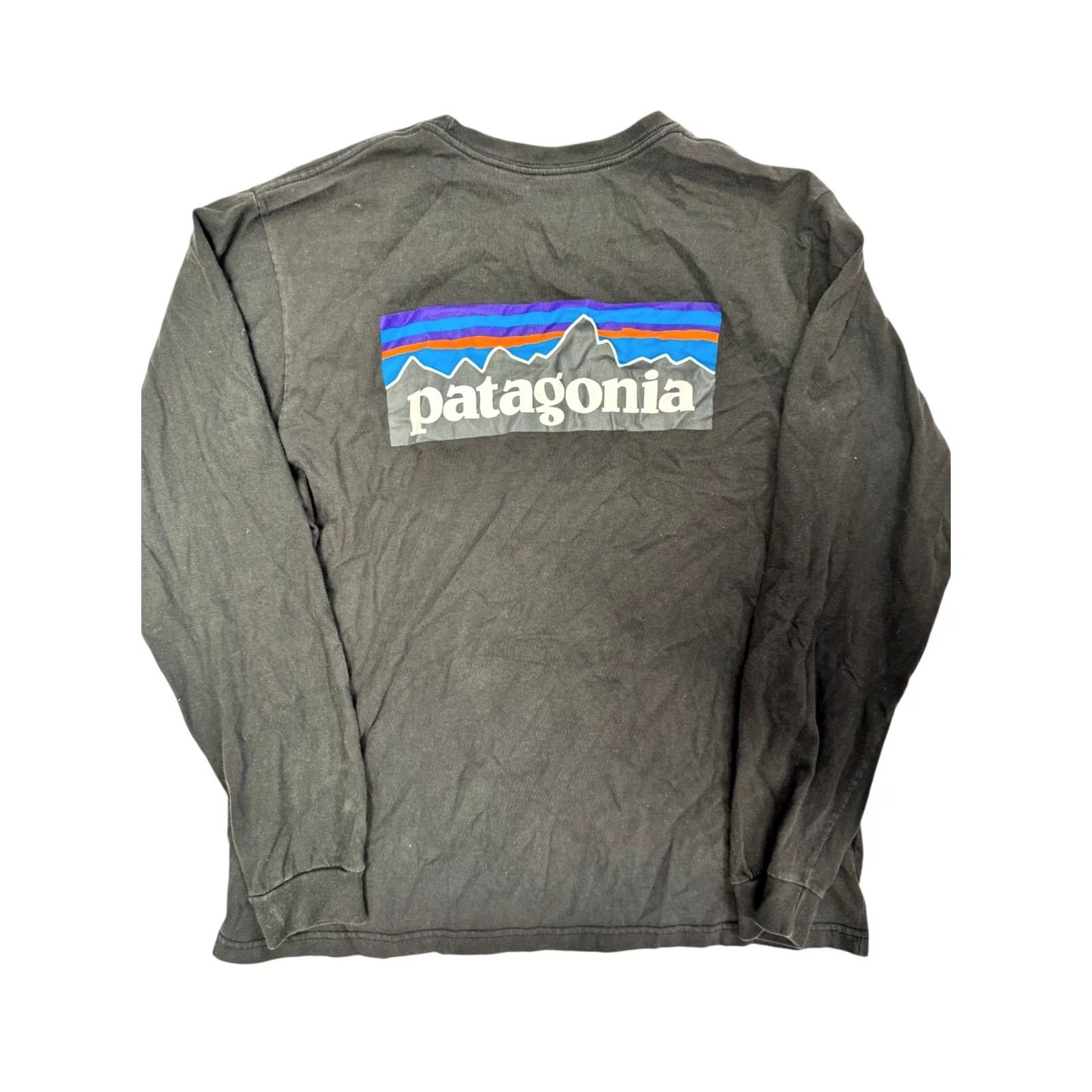 Patagonia Patagonia Mens Long Sleeve Shirt Black L Regular Fit Organic Cotton Graphic Worn Wear Size US L / EU 52-54 / 3 - 4 Thumbnail
