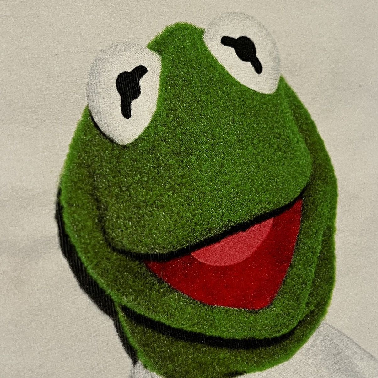 Supreme Supreme Kermit Photo Tee 2008 Size US L / EU 52-54 / 3 - 9 Thumbnail